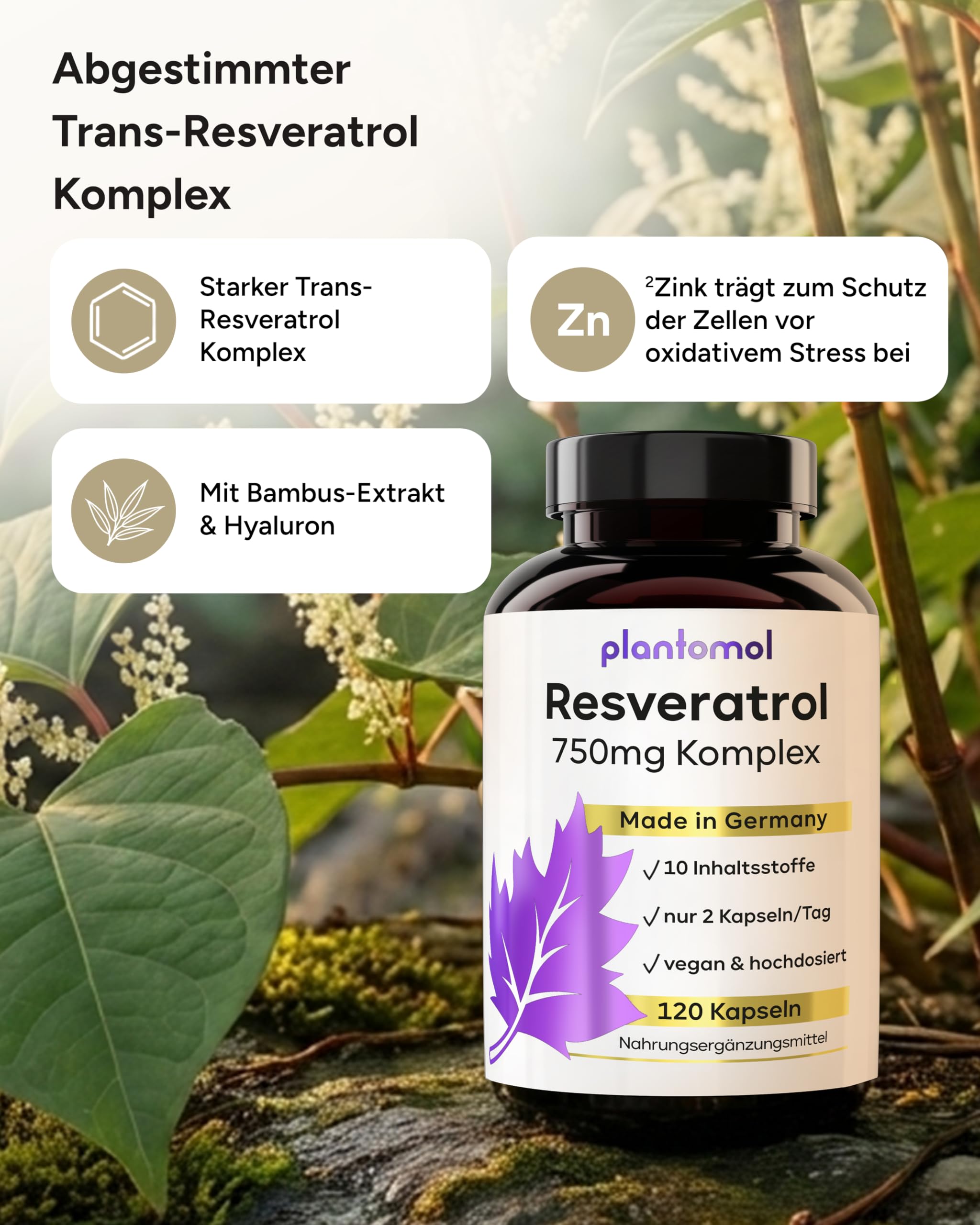 120 Trans Resveratrol Kapseln mit 750mg Resveratrol hochdosiert mit Silizium und Hyaluron (in 2 Kapseln) als Resveratrol Komplex