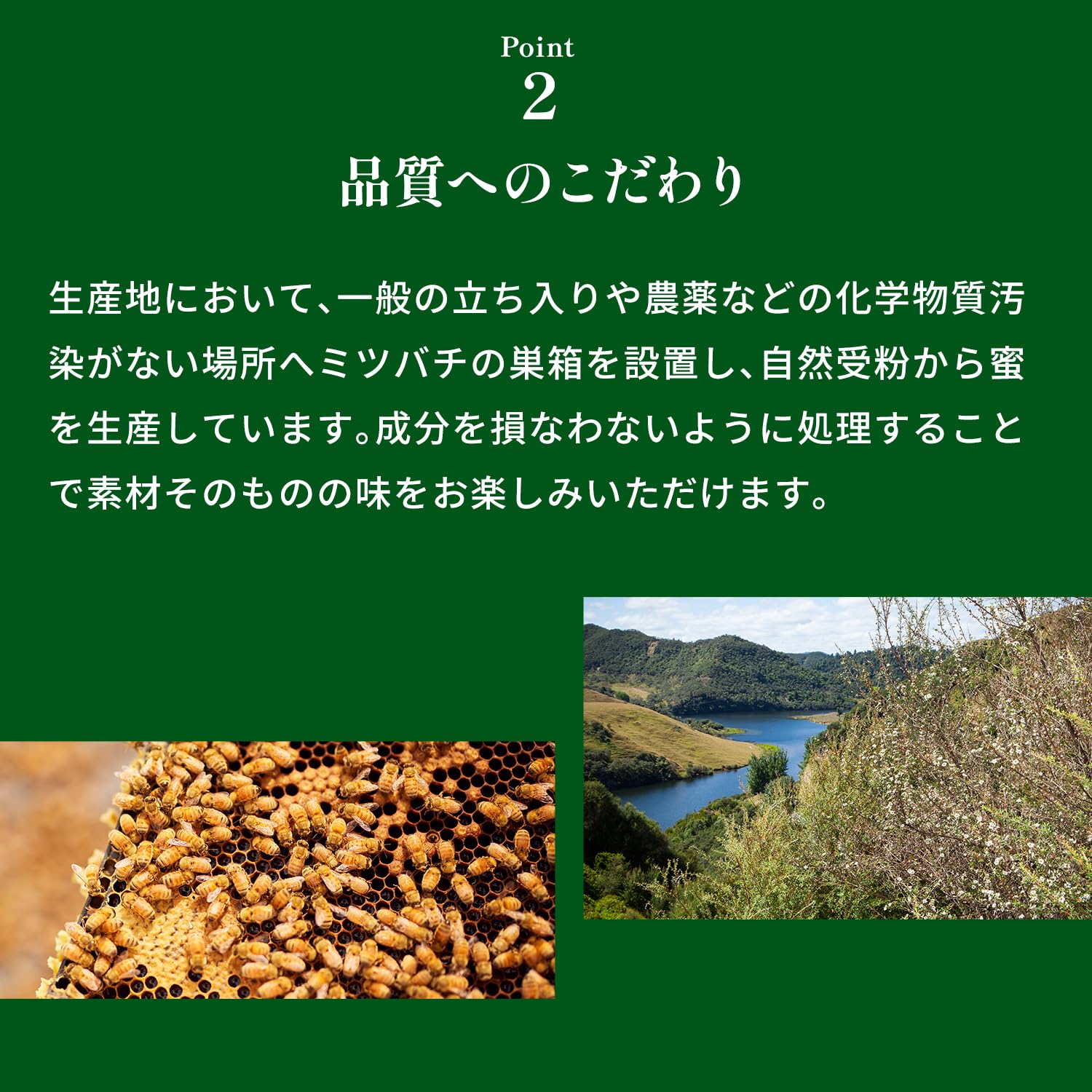 Amazon.co.jp: Nestle(ネスレ) Valley Wellness（バリーウェルネス