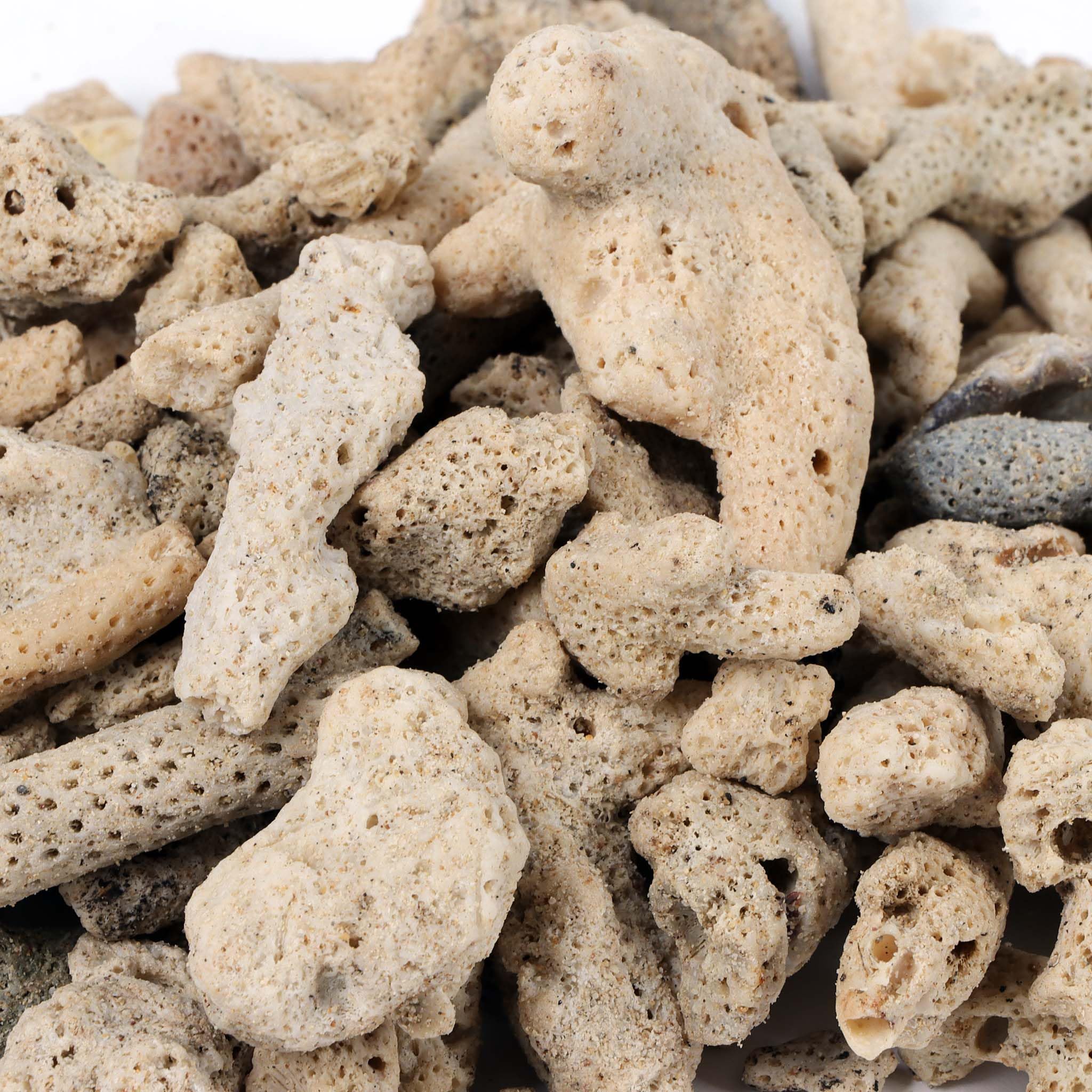SunSun Sable corallien très Grossier – 0,5 kg – pour Colonisation de bactéries nitrifiantes, Régulation de dureté – Filtre bassins, étangs, Aquariums