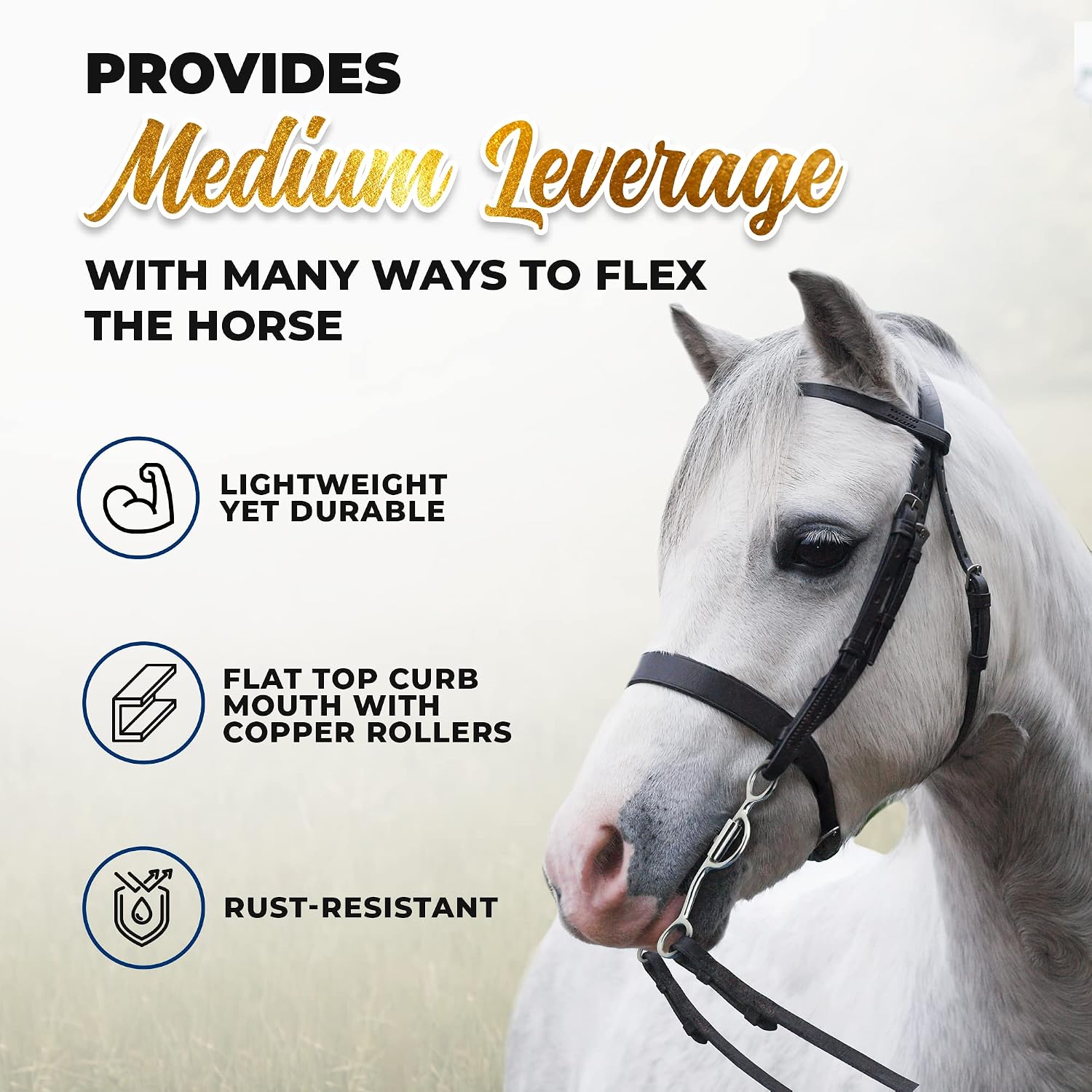 Colorado Saddlery The Flat Top Five Way Flex Curb Bit with Four Rein Cheeks, Stainless Steel