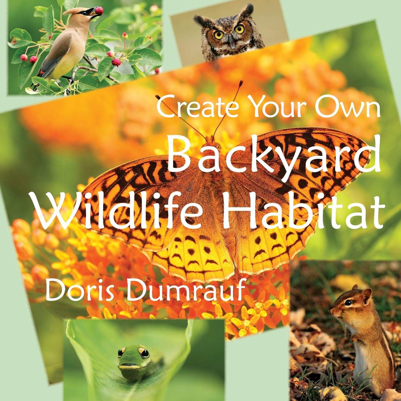 Create Your Own Backyard Wildlife Habitat: Outdoor nature book