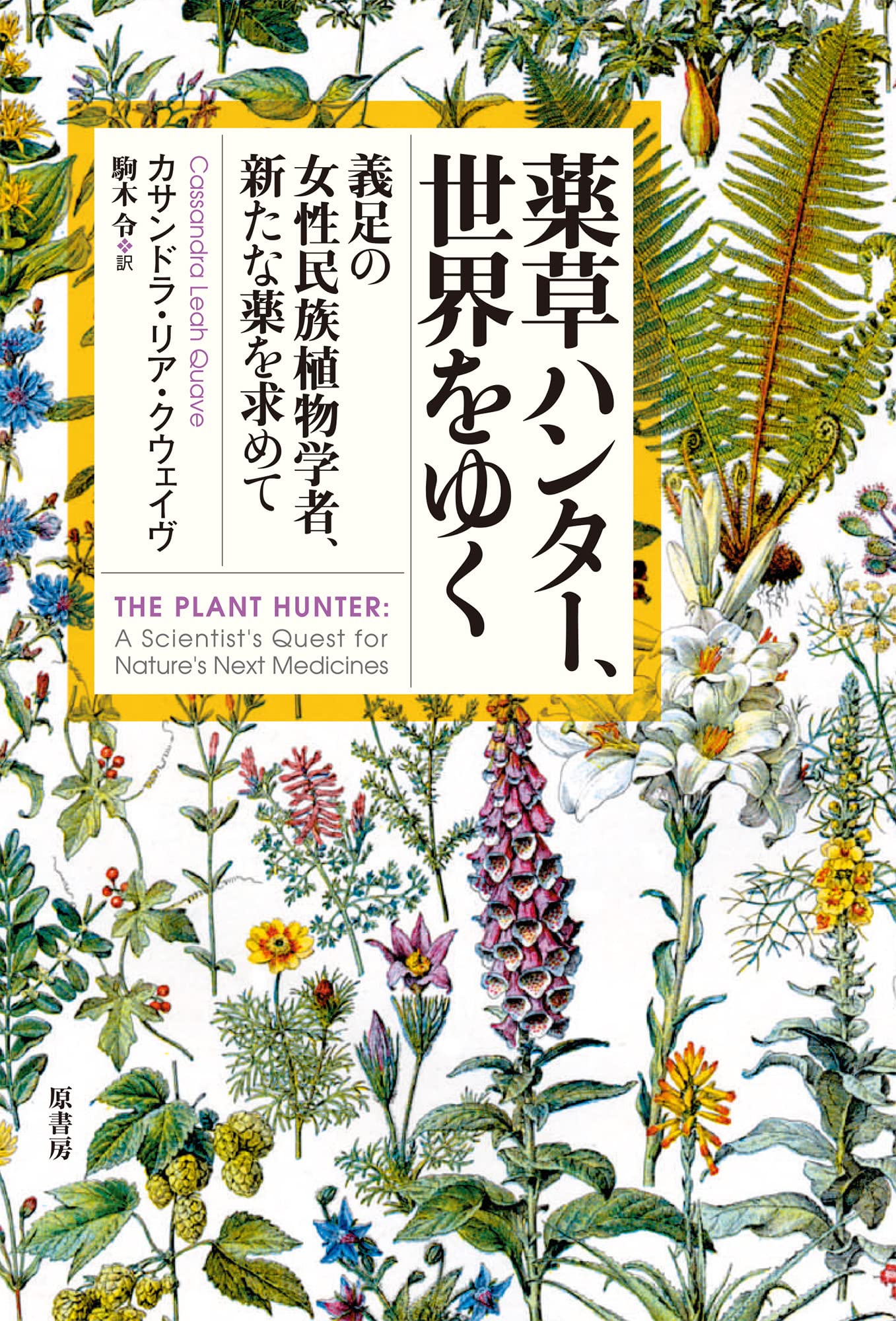 薬草ハンター、世界をゆく:義足の女性民族植物学者、新たな薬を求めて