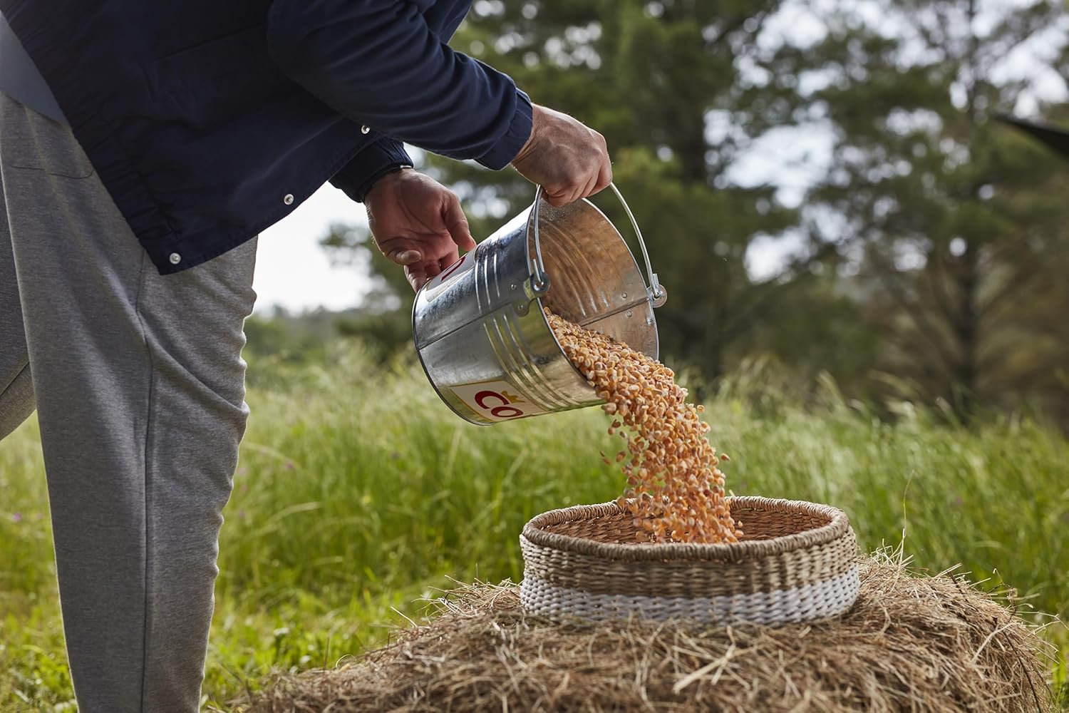 Coren Huevo Campero, Tamaño M/L, 12 Unidades - Imagen 5