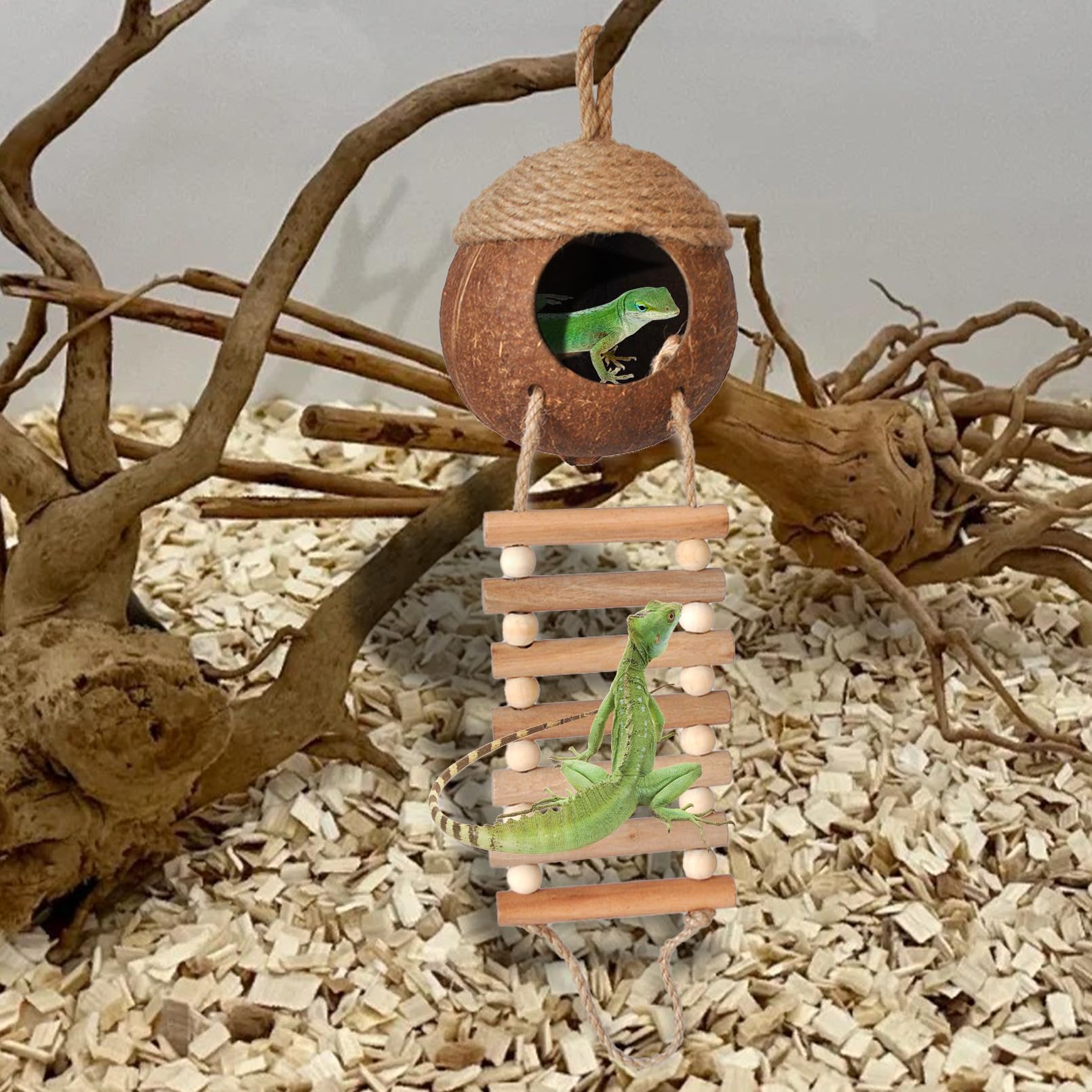 Lizard Coco Den con escalera, 5 piezas de accesorios de tanque de geco de leopardo, plantas de terrario de reptiles, hamaca, cabaña de coco, decoración de reptiles para gecko crestado, dragón