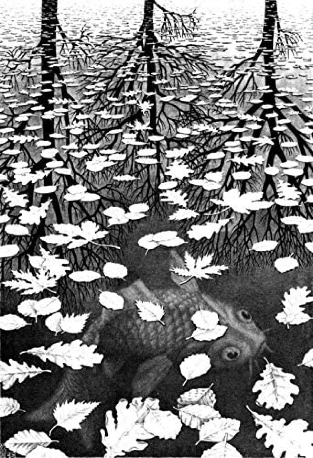 Jigsaw Puzzles For Adults 2000 Piece Escher Three Worlds Giclee Adults Puzzle 2000 Piece，Challenging Puzzle Game 70x100CM
