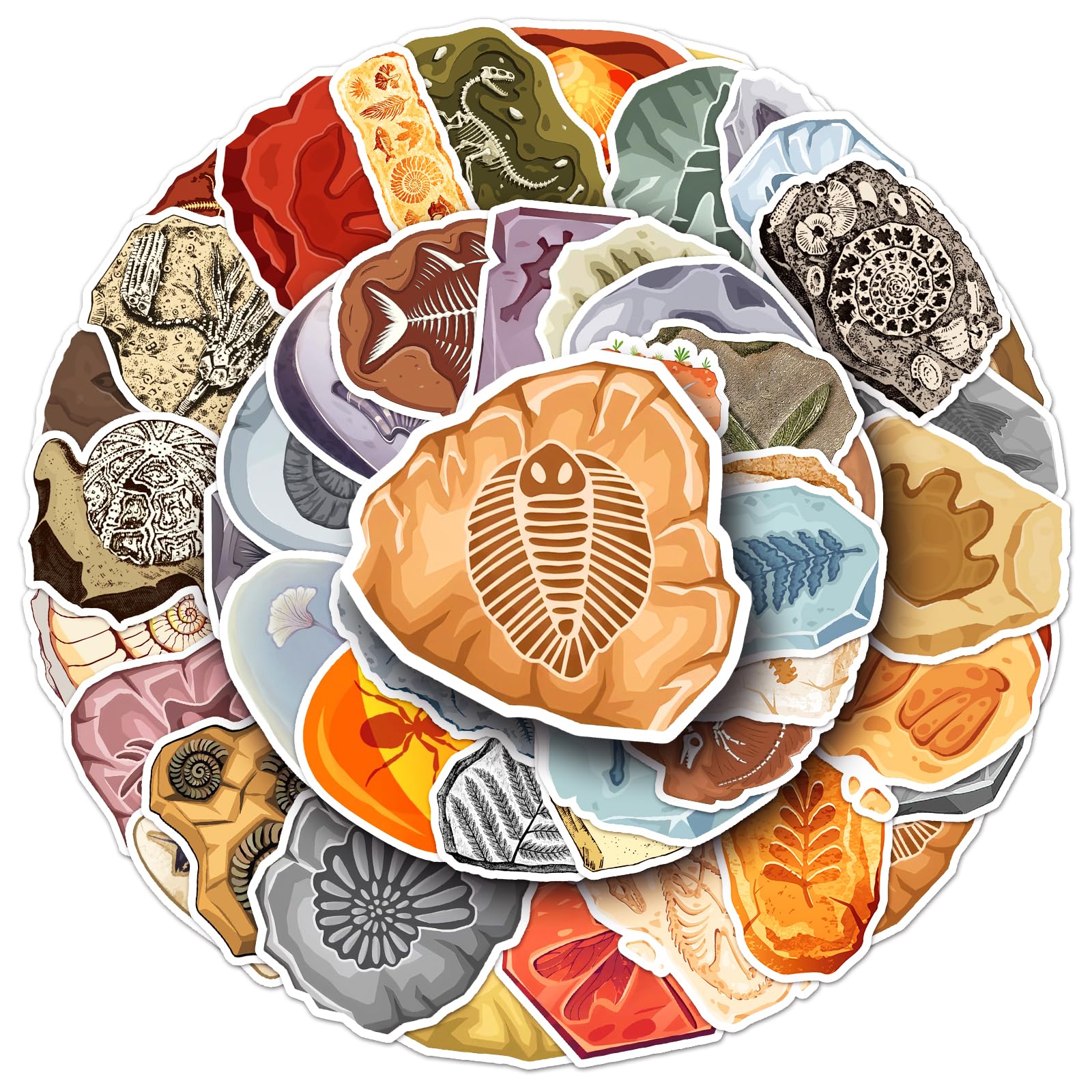50Pcs Fossil Stickers