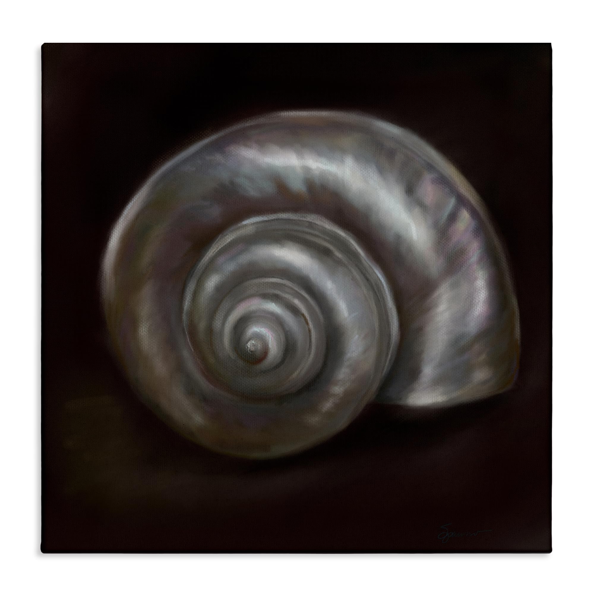Stupell Industries Unframed 'Spiral Treasure Of Sea'| Canvas Art