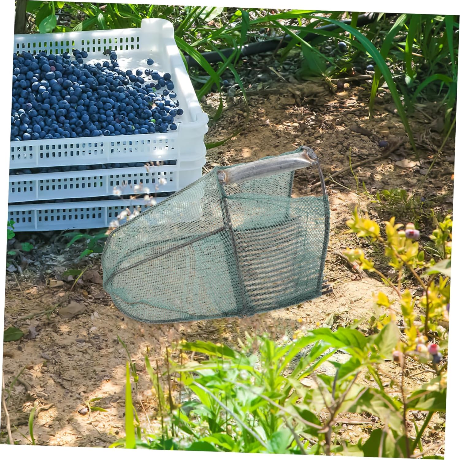GANAZONO Convenient Blueberry Picking Scoop Berry Picker Rakes Garden Fruit Picker for Outdoor Use