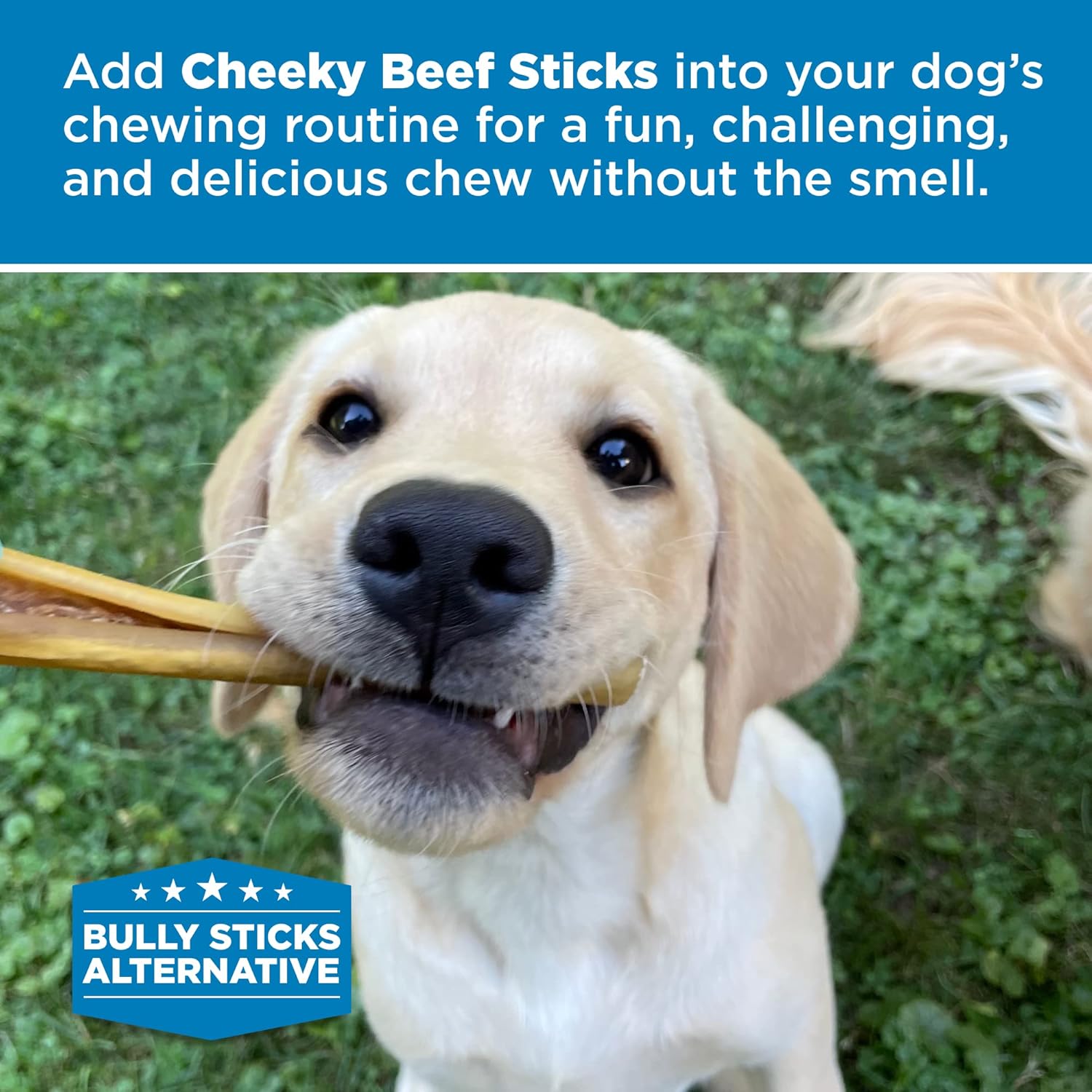 Best Bully Sticks Cheeky Beef Treats - 6 Inch 20 Count (Pack of 1) - Single Ingredient, 100% Grass-Fed, USA Packed, Long-Lasting, Odor Free Alternative to Bully Sticks