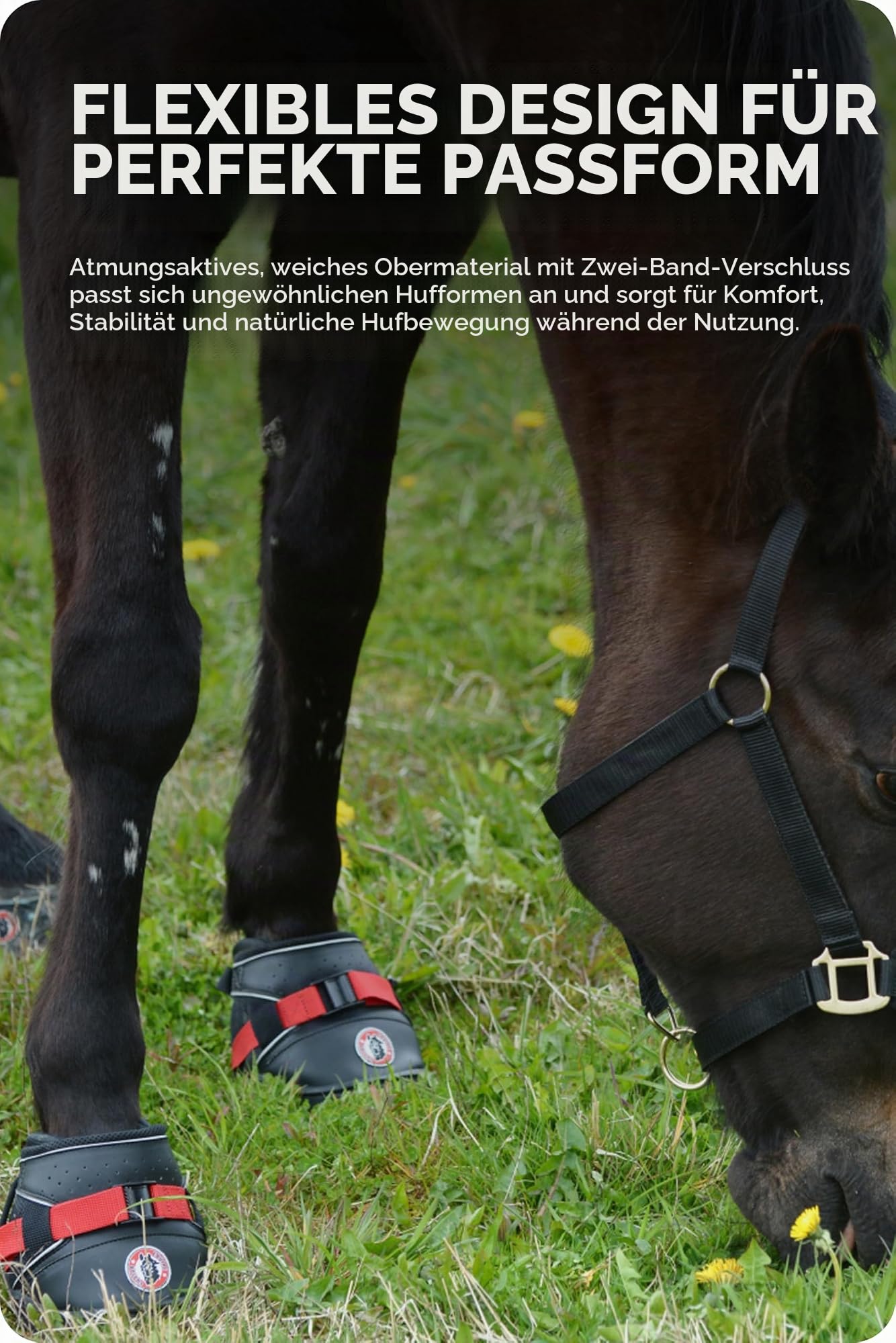 Equine F. Ultra Joggin Shoe 14, schwarz