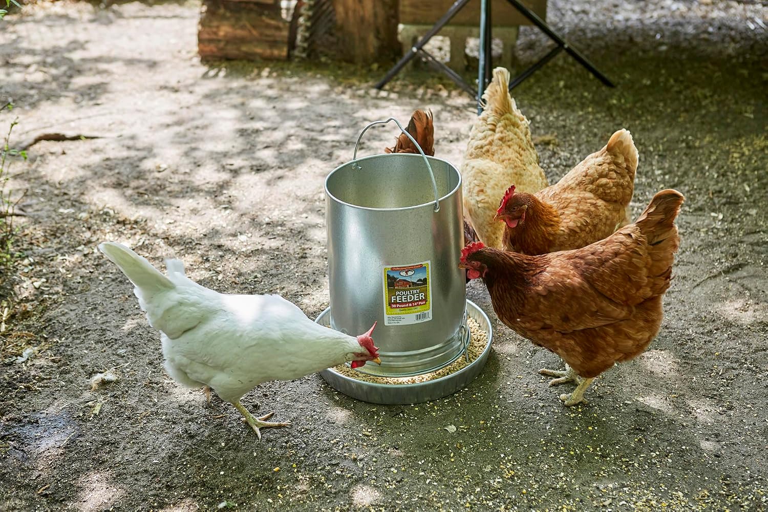 Hanging Poultry & Gamebird Feeder with Feed Pan, 30 Lb Galvanized Steel