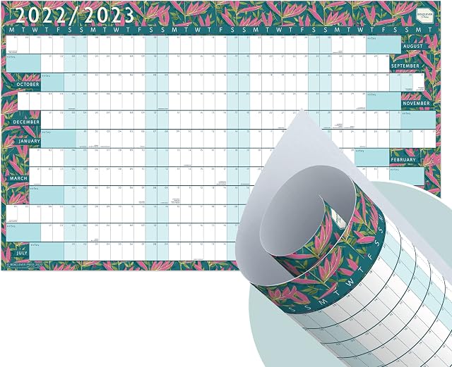 Boxclever Press Student Wall Planner 2022-2023. Academic Wall Planner 2022/2023 runs Aug'22-Jul'23. 2022 2023 Wall planner (Linear Format) for Study Planning. Non Laminated Student Planner - 70 x 43cm