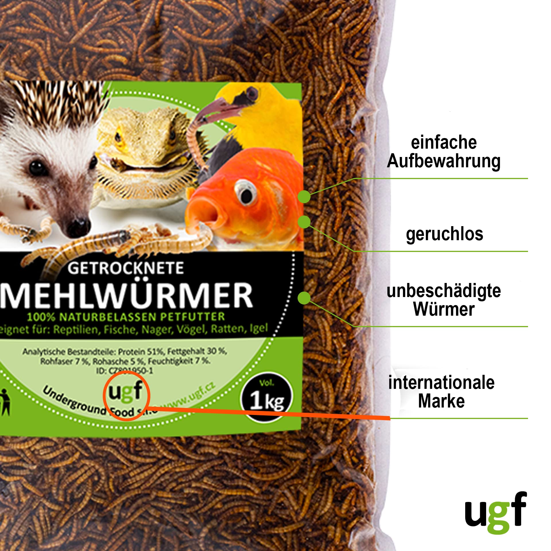 UGF - vers de Farine séchés de qualité supérieure 1 kg, friandises à Base d'insectes pour Oiseaux, Hamsters, hérissons, rongeurs, lézards, Tortues - sans conservateurs ni colorants