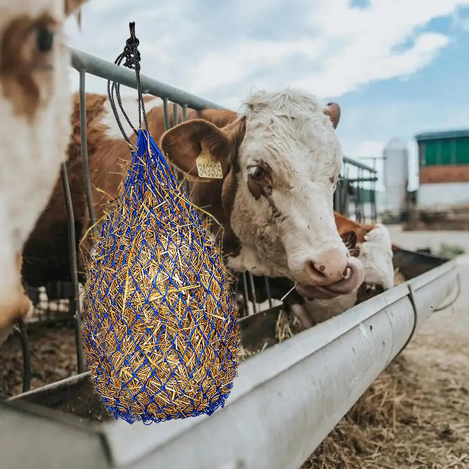 Heusäcke, Heunetze Pferde extra engmaschig, für Pferde, Alpakas, Kleine Öffnungen, Erlaubt Pferden, Langsam zu Fressen und Verbessert die Verdauung, Heu Heuhaufen Stroh Futternetze Heusäcke (3)