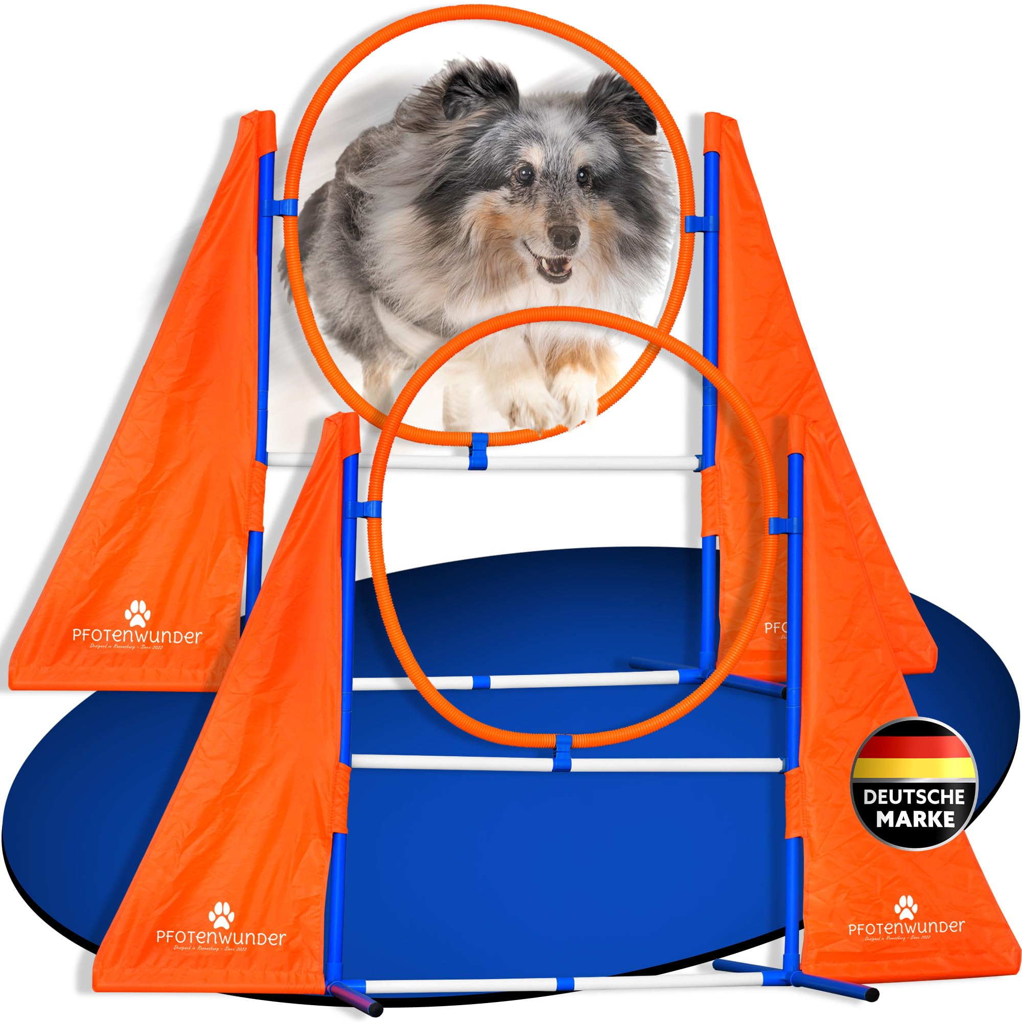 PfotenWunder® 2X-Profi-Agility-Hürde, Agility-Hürden-Set groß, für kleine & große Hunde-Training Sport Parcour Zubehör Hürden Sprungring Sprunghürde