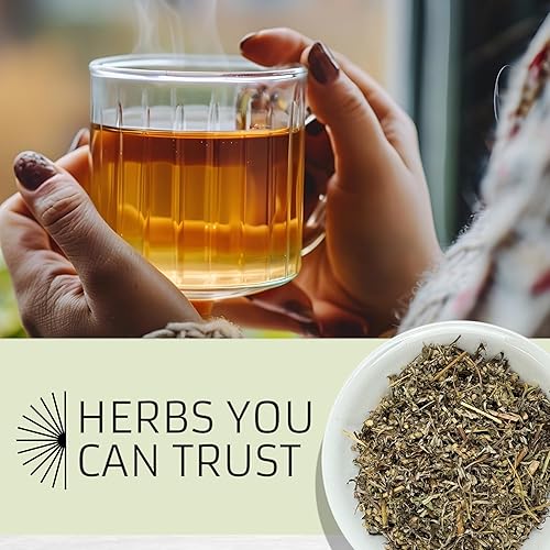 Miniatura 6 de Evergreen Herbs Hierba de artemisa, estafiate (artemisa) de 8 onzas. Artemisa mexicana, cronewort - Bolsa resellable para garantizar la frescura