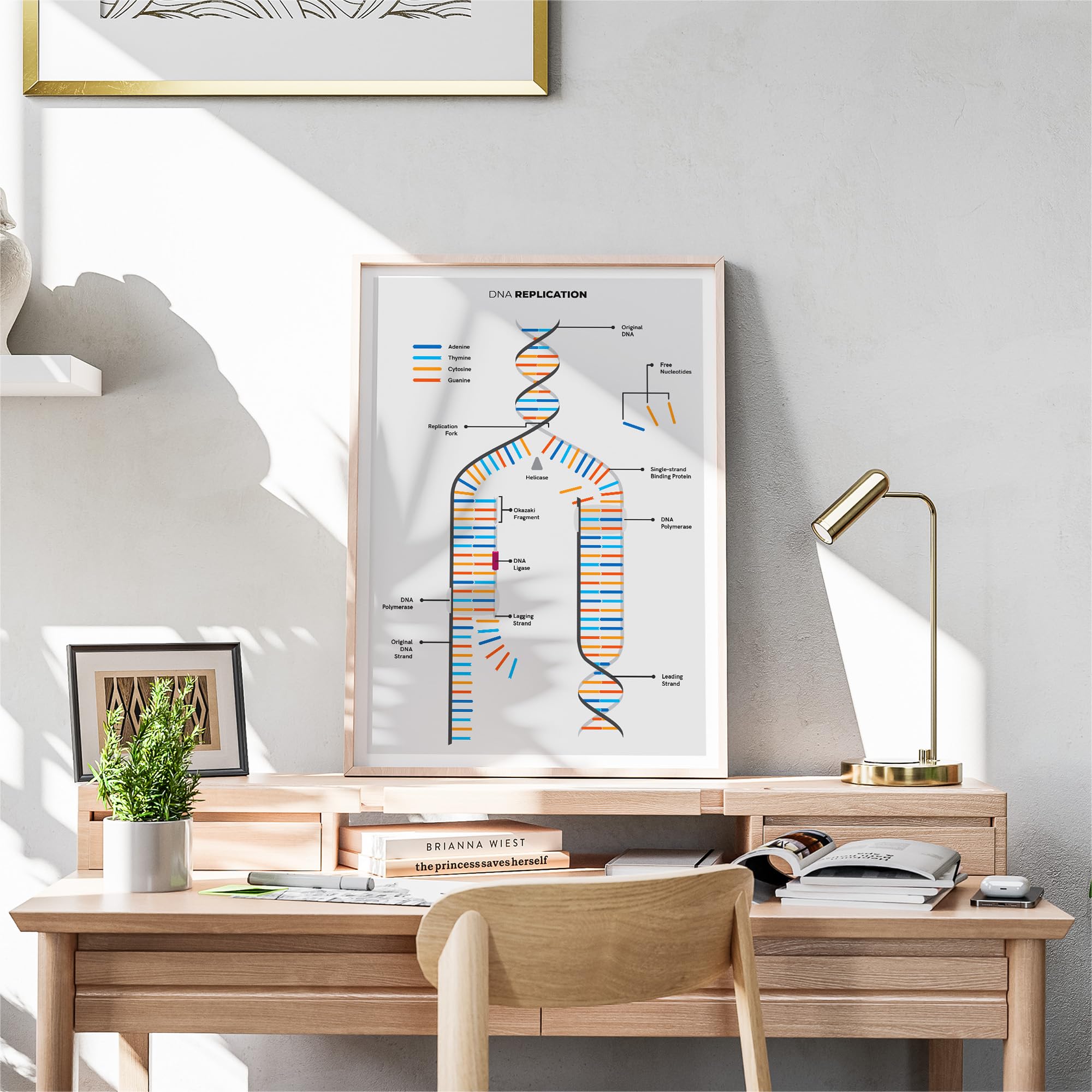 Amazon.com: MeloPrints DNA Replication Infographic Poster