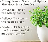 Vista 2 de Plant Therapy Aceite esencial de Melissa 0.2 fl oz (1/6 oz) 100% puro, sin diluir, grado terapéutico