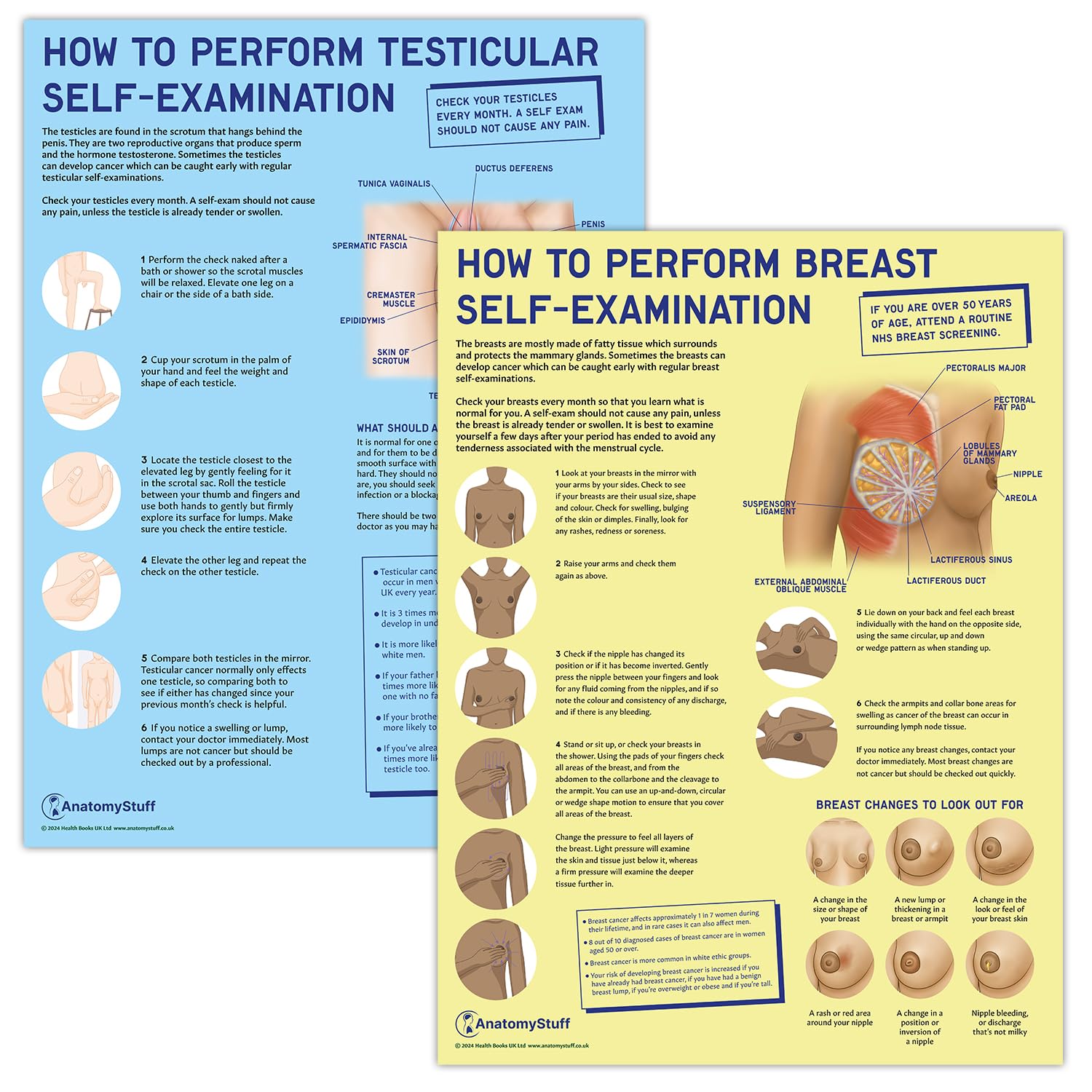 Anatomy Stuff Bse + Tse Bse And Tse 2 Pack Poster Collection, 45X60 Cm, Breast Self Examination Chart, Testicular Self Exam Wall Diagram