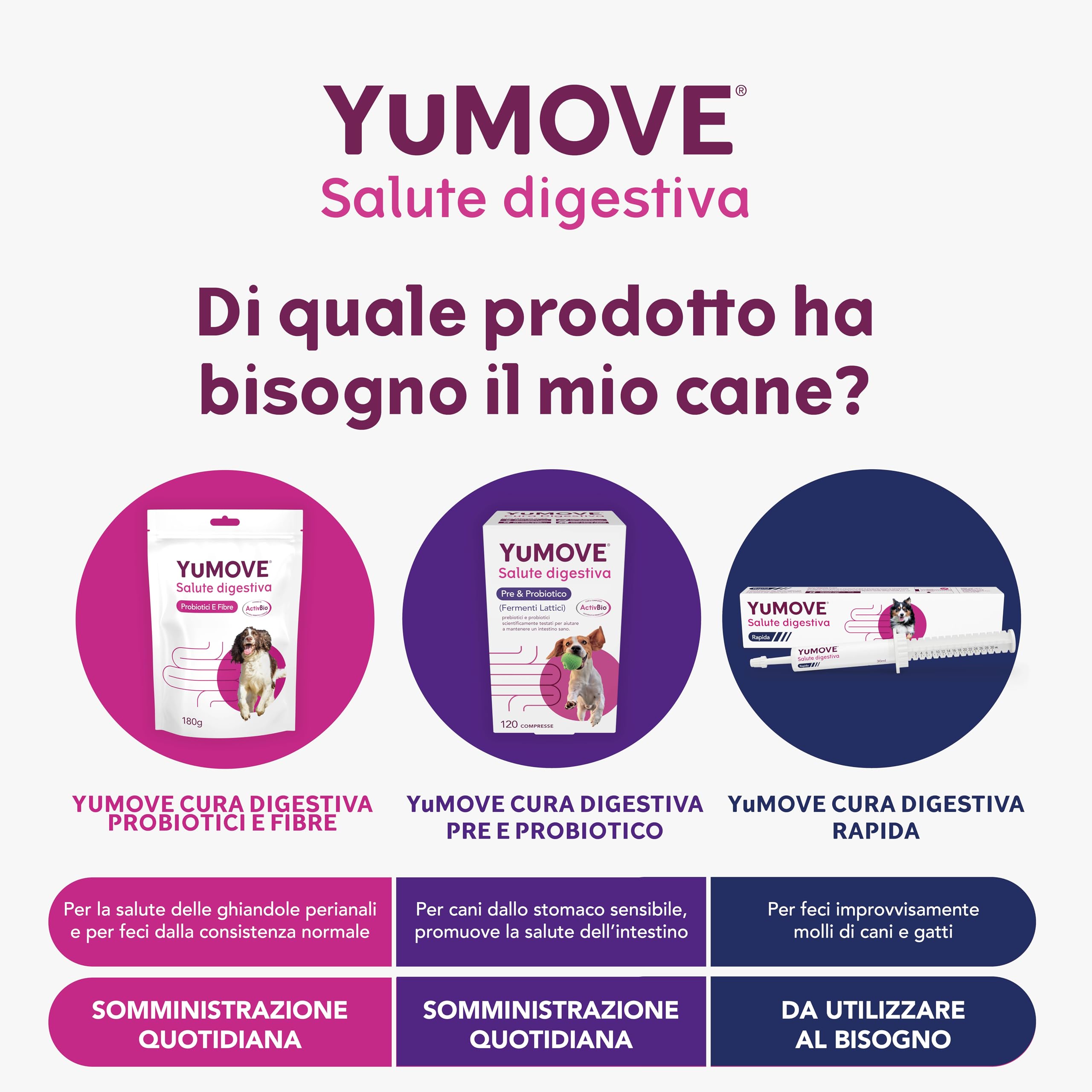 YuMOVE Fermenti Lattici Cane & Probiotici per Cani - 120 Compresse - 200 Mio CFU Enterococcus faecium per Compressa + ActivBio Prebiotici con Beta-Glucani - Probiotico Digestivo per Cani & Supporto