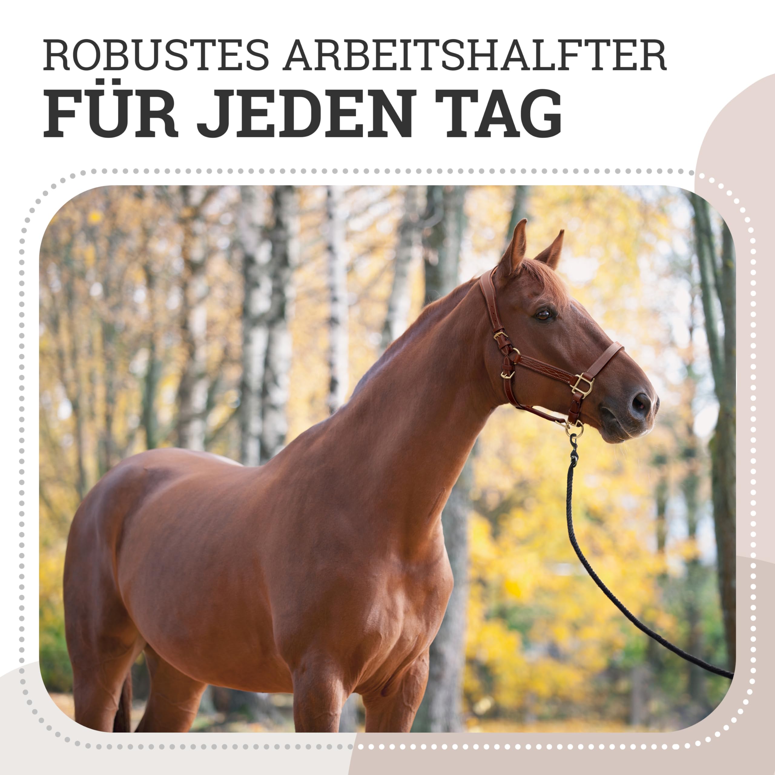 Esposita anatomisches Lederhalfter Deluxe Halfter aus Leder für Pferde Stallhalfter Pferdehalfter - Cronic Braun Pony