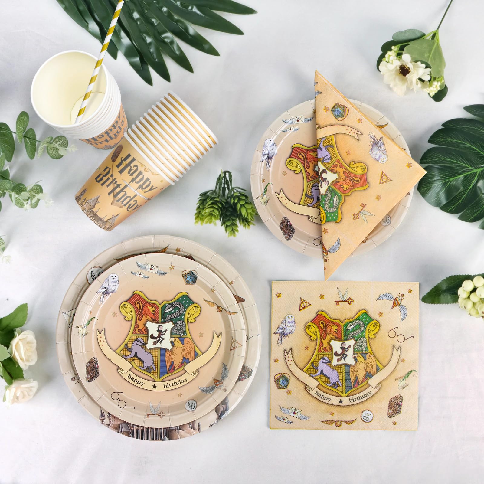 DANXIAN Wizard, set di stoviglie magiche Wizard, piatti di carta per il compleanno dei bambini, decorazione per feste di compleanno, 20 ospiti