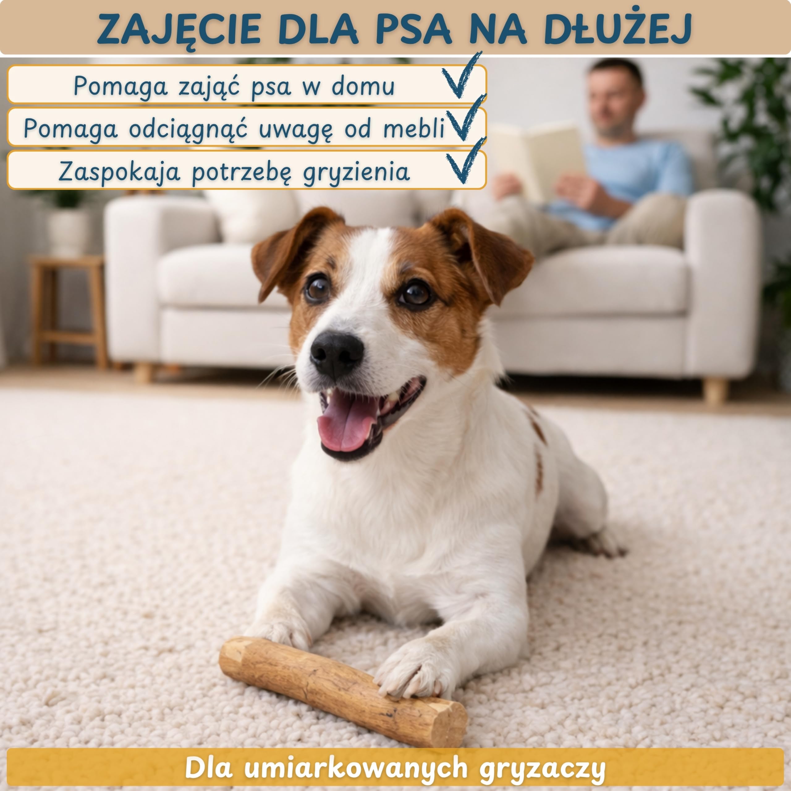 Wildeers Patyk z Drzewa Kawowego, Naturalny Gryzak dla Psa M, 3 szt. | 15-17 cm, Twardy Wytrzymały Gryzak dla Małych i Średnich Psów do 10 kg, Zajęcie dla Psa, Bez Toksyn