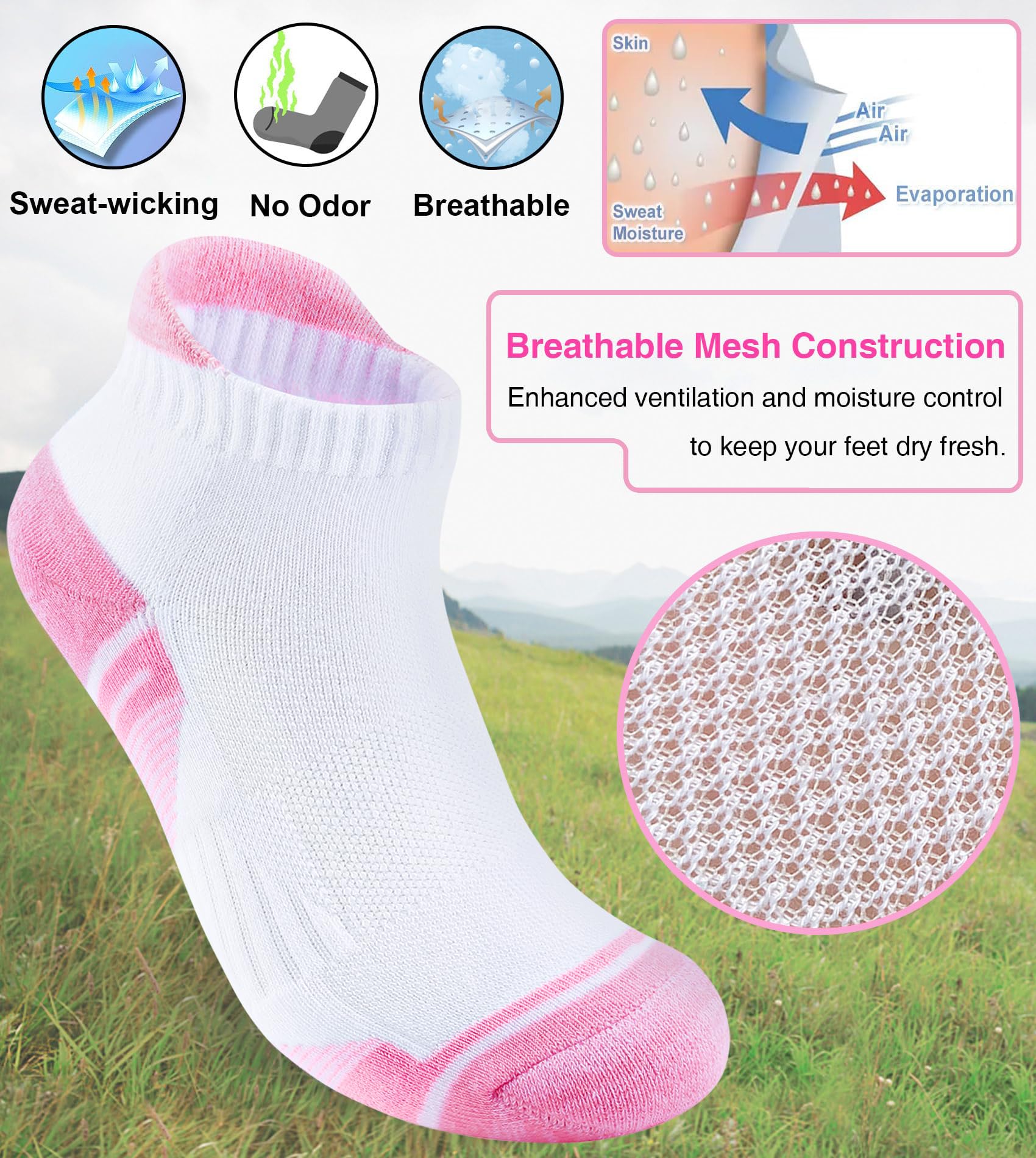Damen Sneaker Socken Gepolsterte Anti-Blasen Baumwolle Atmungsaktives Sportsocken Kurze Knöchelsocken Laufsocken Mit Fersenlasche 5 Paar 36-41