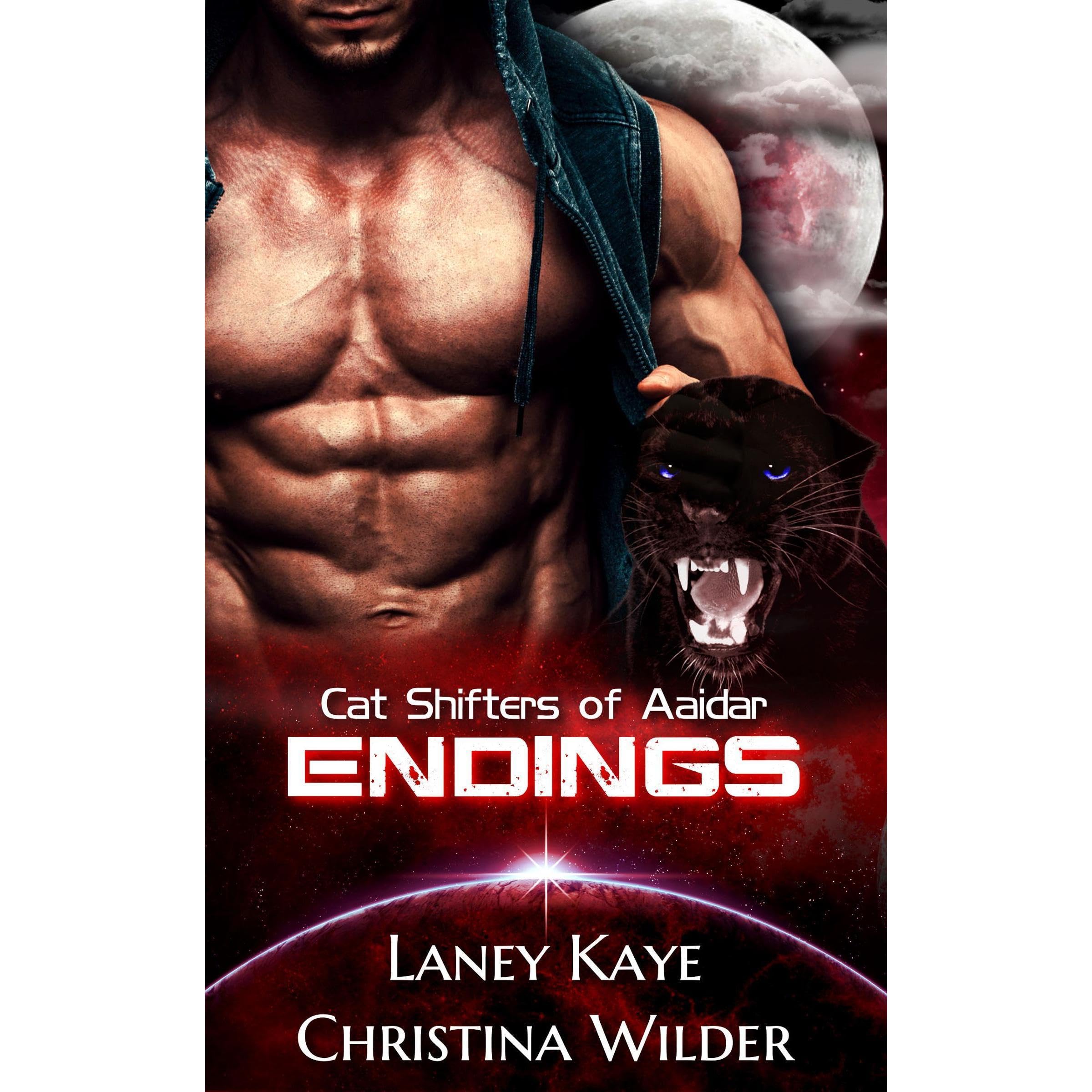 CAT SHIFTERS OF AAIDAR: ENDINGS