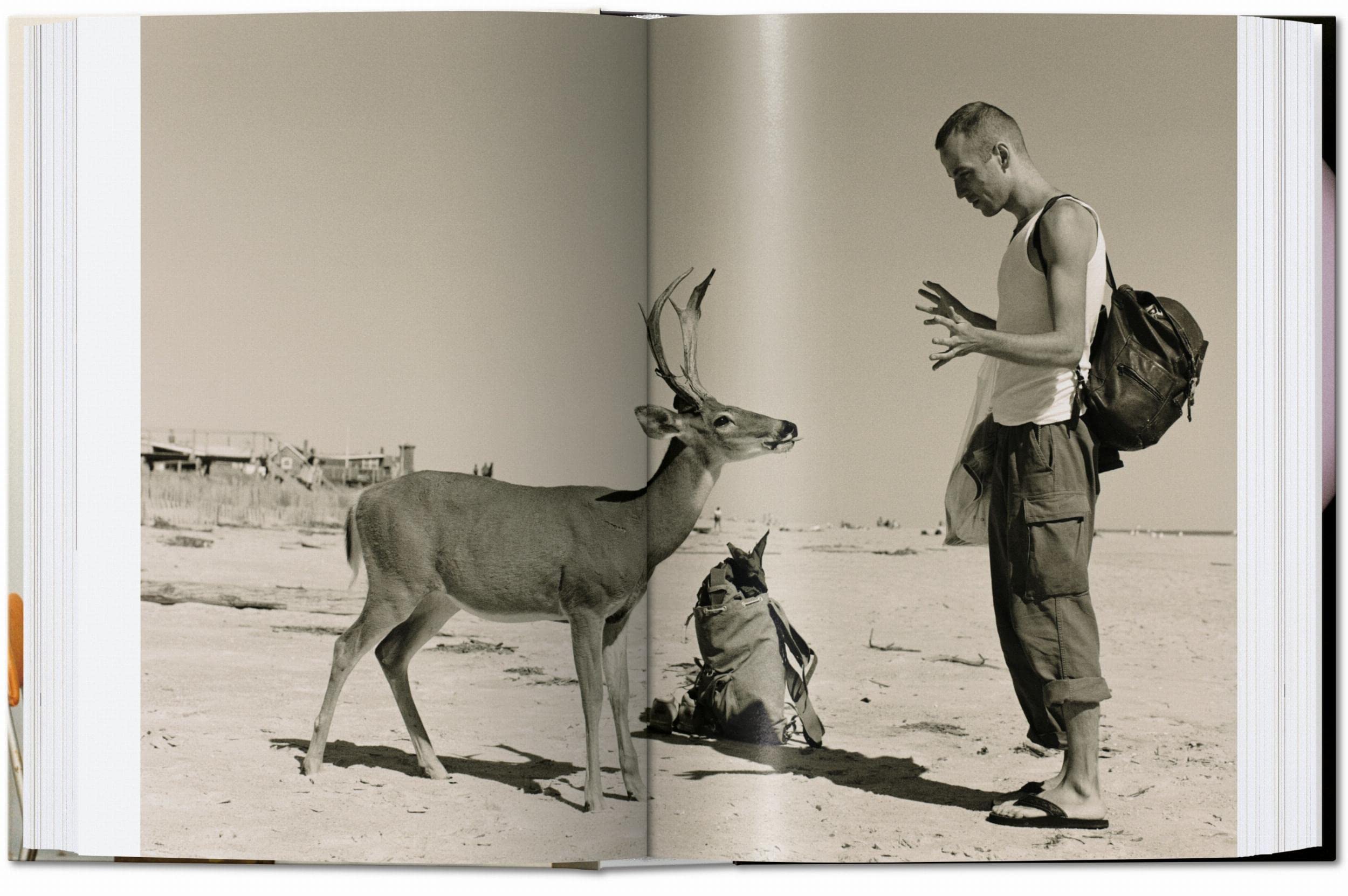 Wolfgang Tillmans. Four Books – 40Th Anniversary Edition: four books. 45th Ed. (45th Edition)