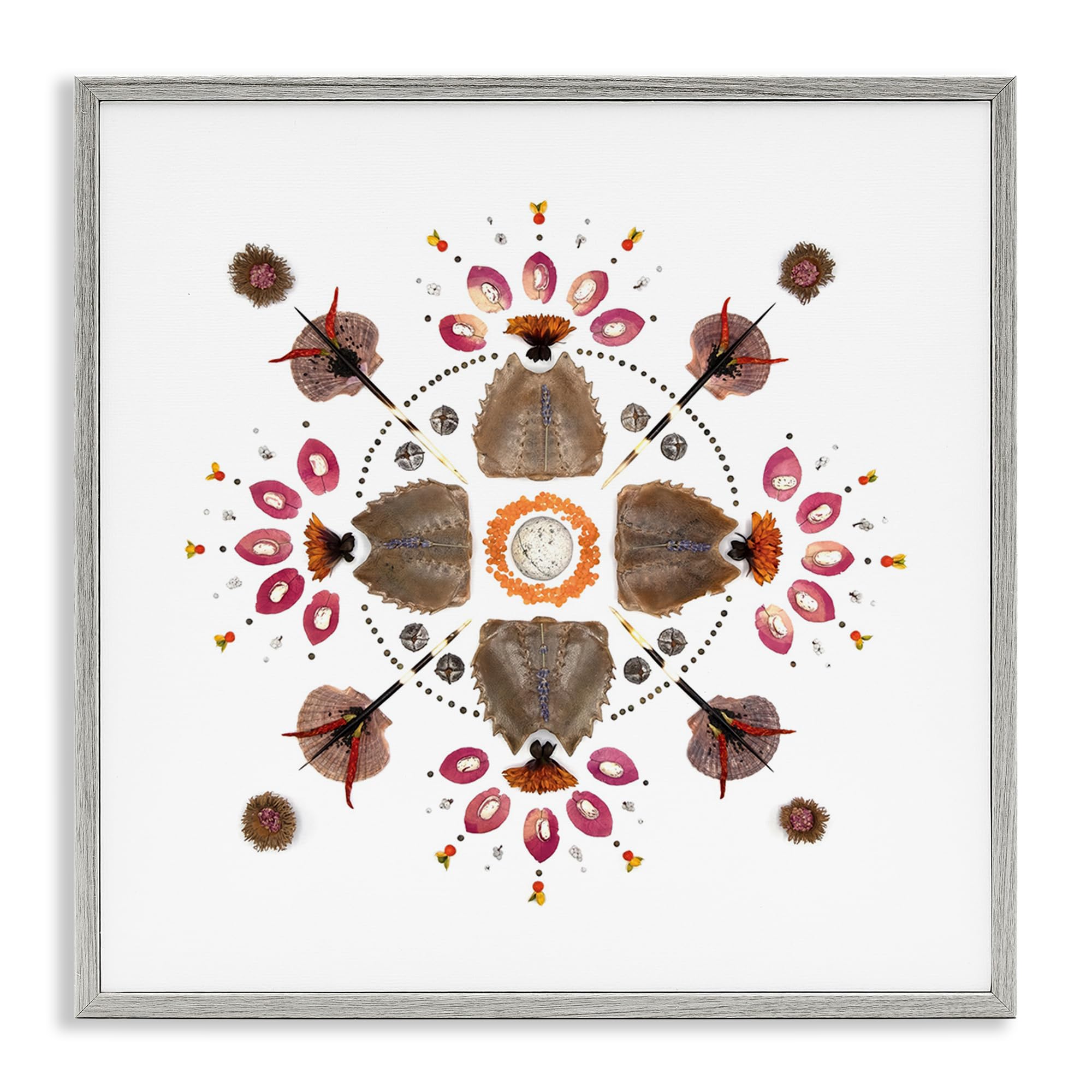Stupell Industries 'Symmetrical Nautical Collection', Framed Giclee Art, Gray, 24 x 24 Inches, Easy to Hang and Sturdy, Made in USA, by Beth Adoette
