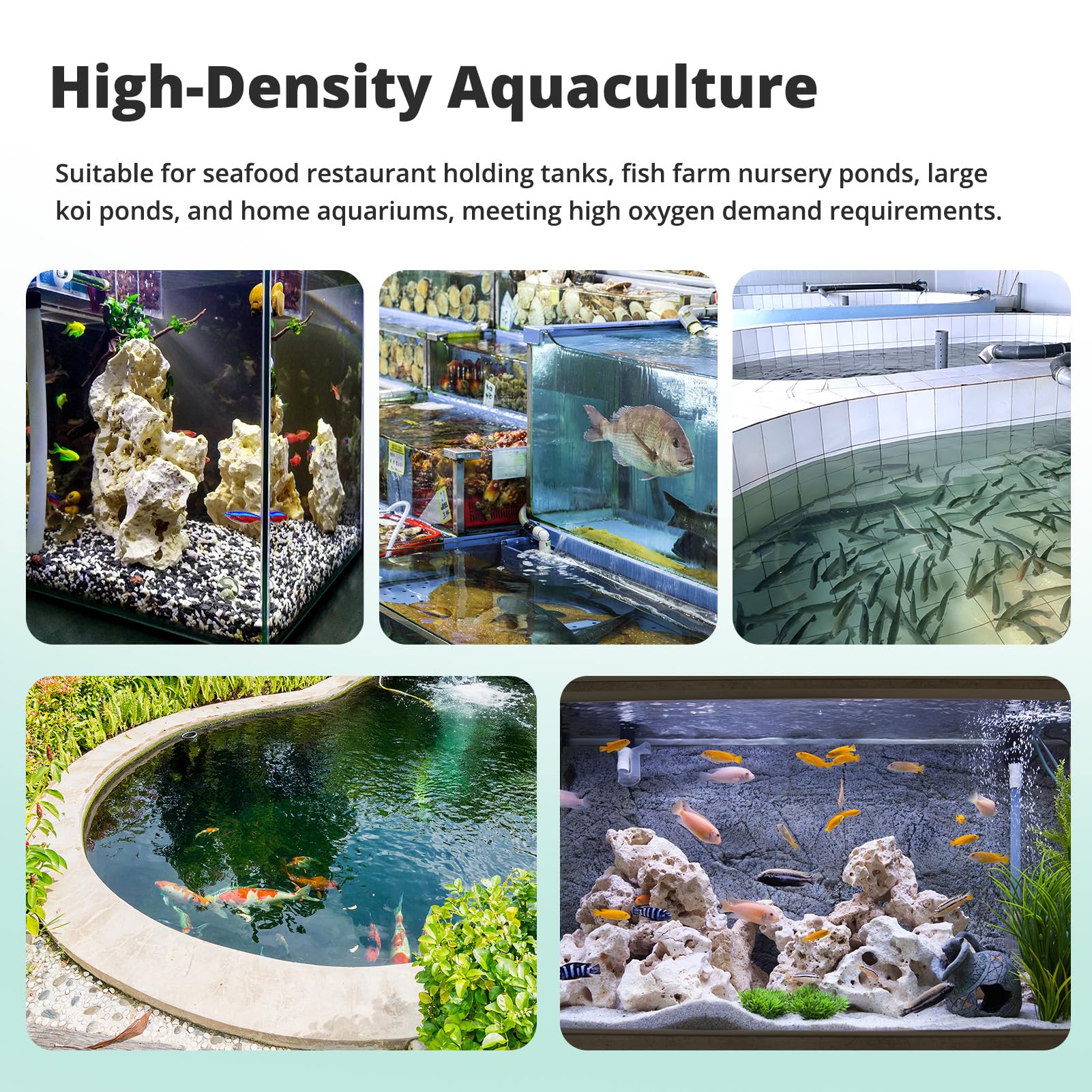 Aquarium Luftpumpe mit 6 Ausgängen – 25 W regelbare Sauerstoffpumpe für Aquarien & Gartenteiche, leiser Belüfter mit Magnetantrieb, bis 3 m Tiefe, 55 l/min (3300 l/h)