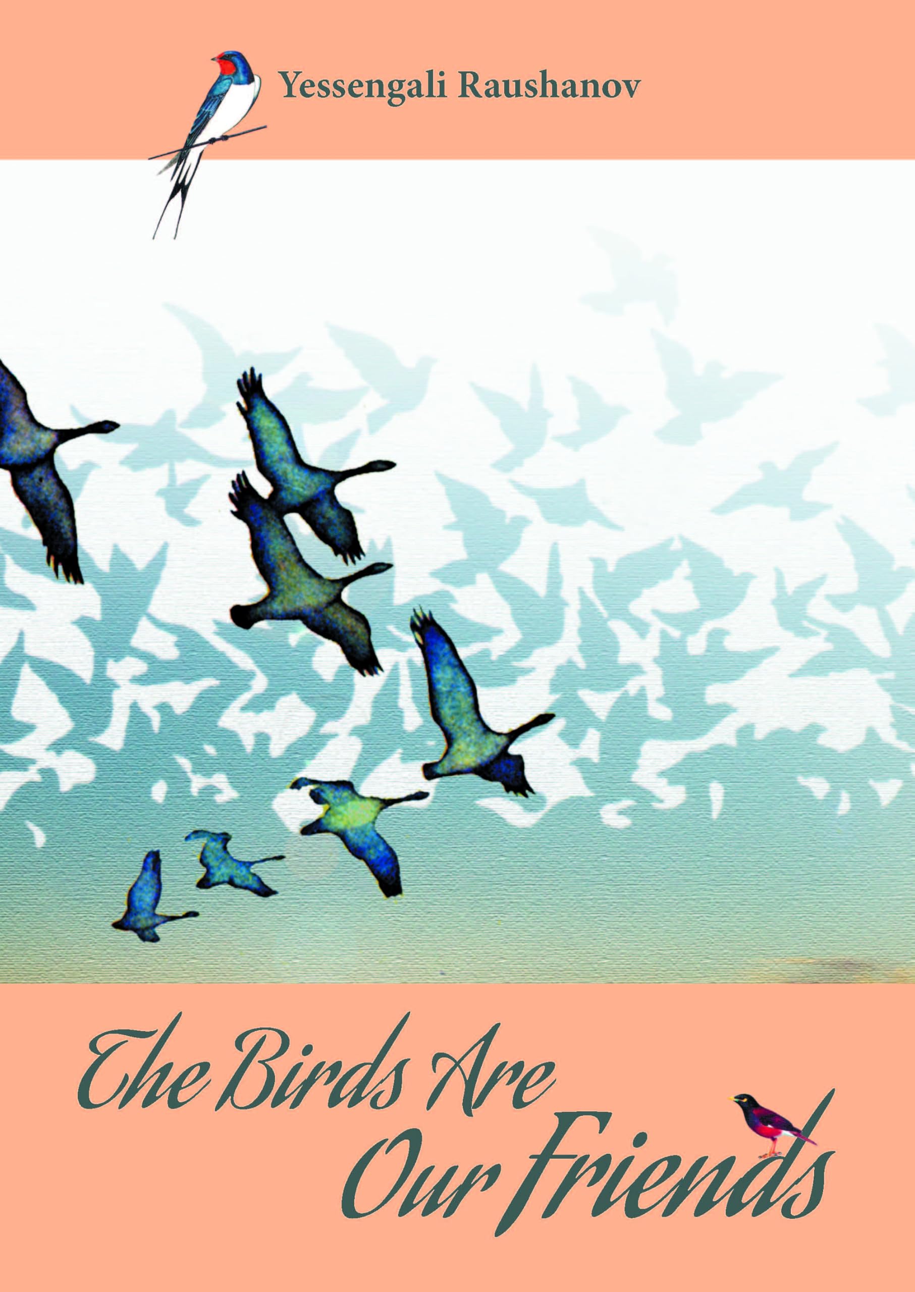 The Birds are our Friends by Yessengali Raushanov (Paperback Book)