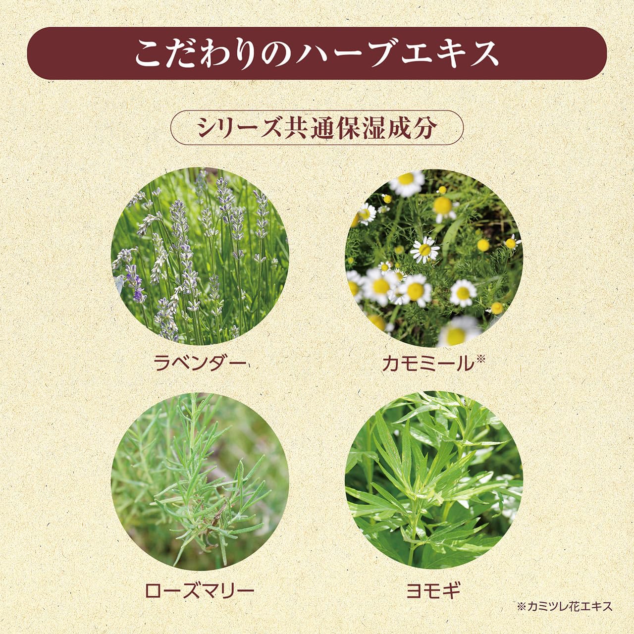 Amazon | ネイチャーアンドハーブ 北海道オーガニック洗顔料 120g