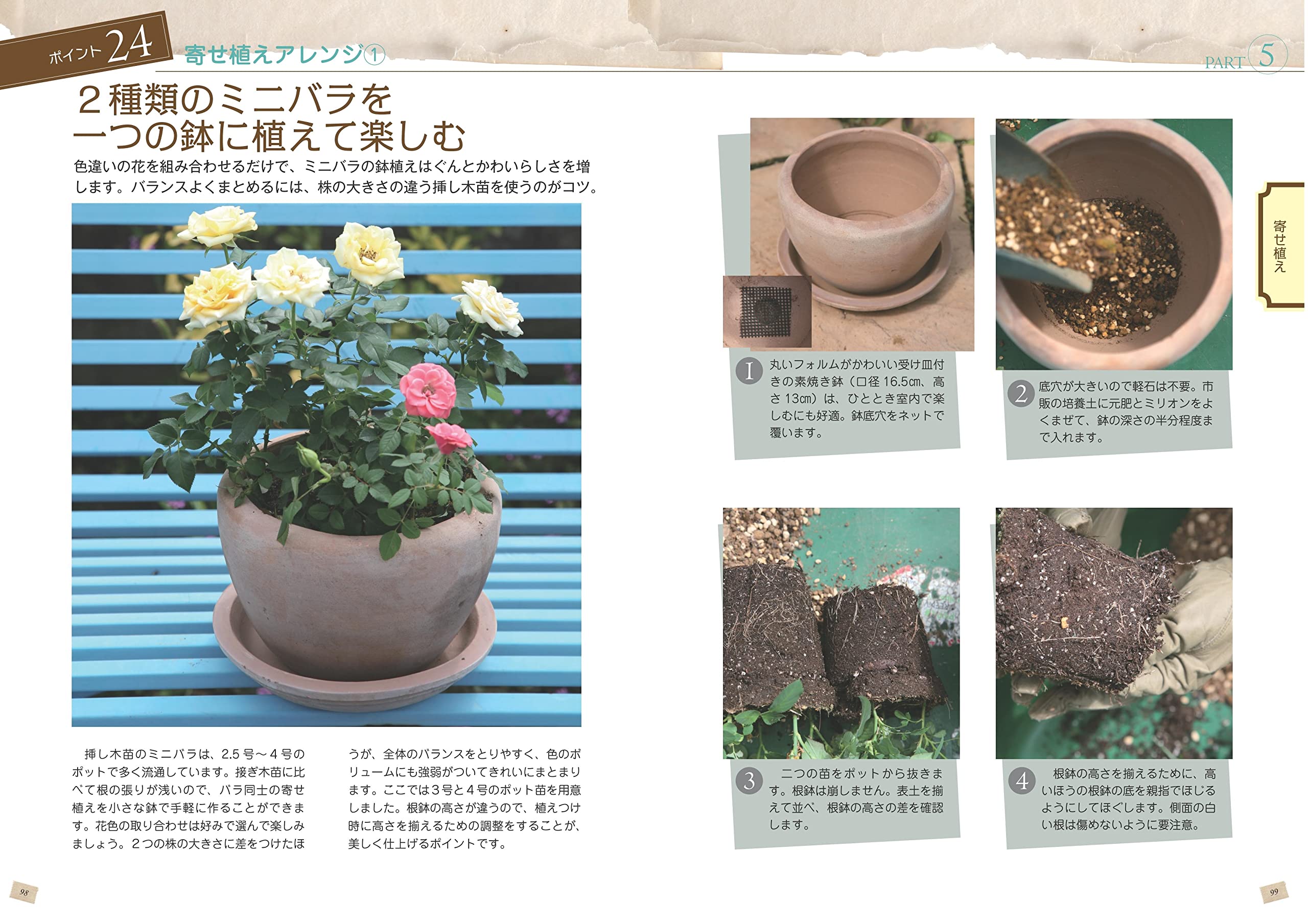 はじめての鉢バラ 育て方の基本がわかる本 鉢でバラを美しく咲かせるポイント コツがわかる本 後藤 みどり 本 通販 Amazon