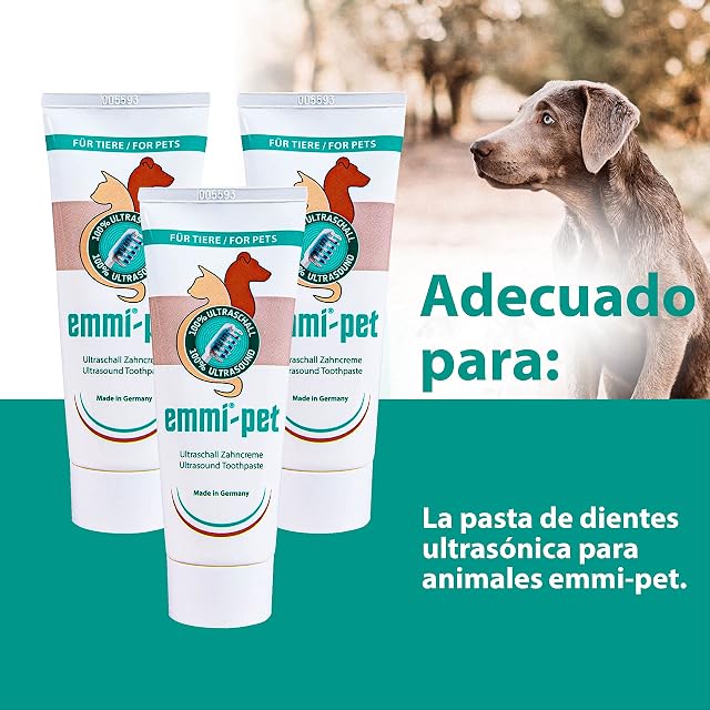 Foto 6 de 6 de emmi-pet 2x A2 (M) Cabezales de Cepillo Dental Ultrasónico Grandes emmi-pet 1.0 y 2.0 I Previene el Sarro