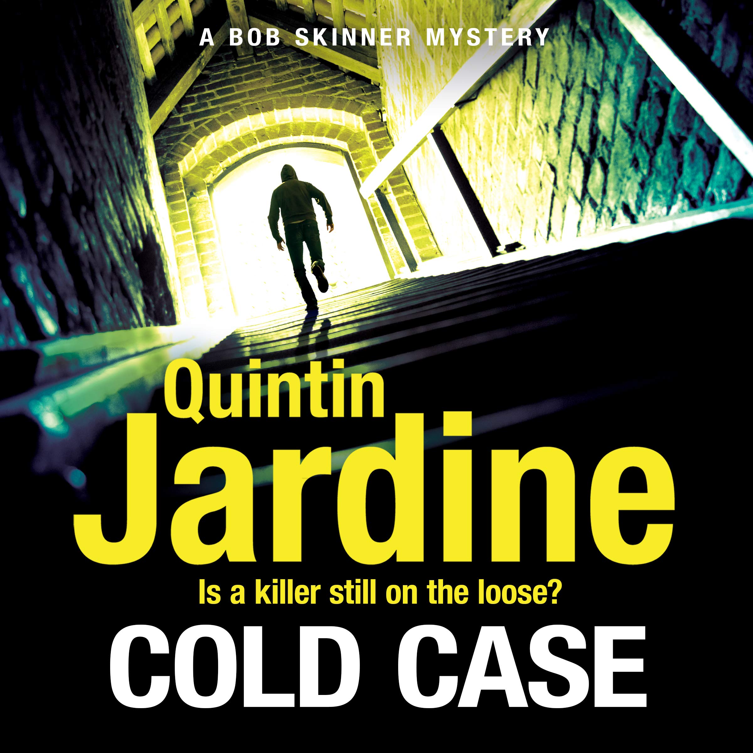 Cover art for Cold Case