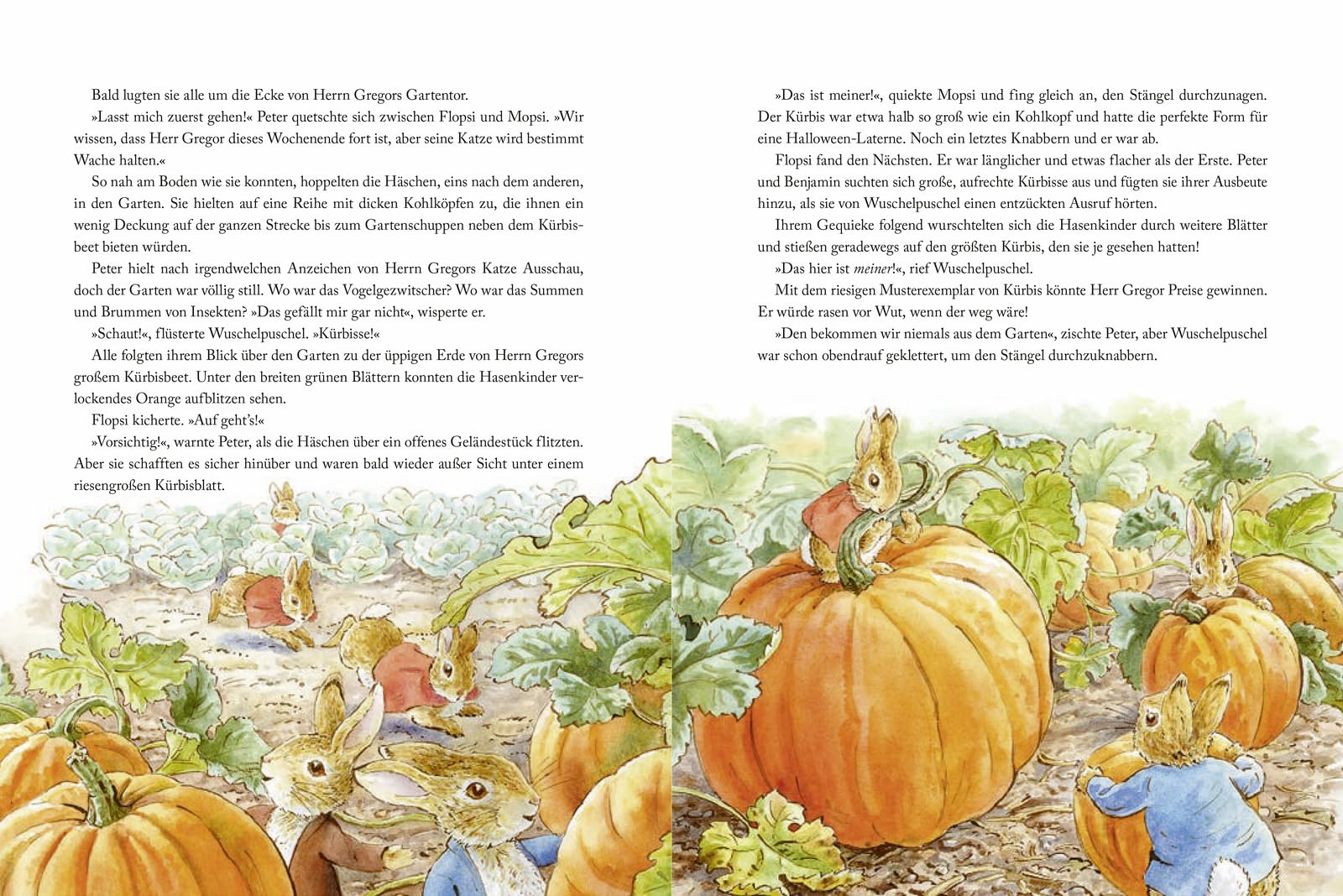 Die Welt von Peter Hase Allen eine gute Nacht: 24 Gutenachtgeschichten zum Vorlesen für Kinder ab 5 Jahren I Mit Kreativideen zur Schlafenszeit