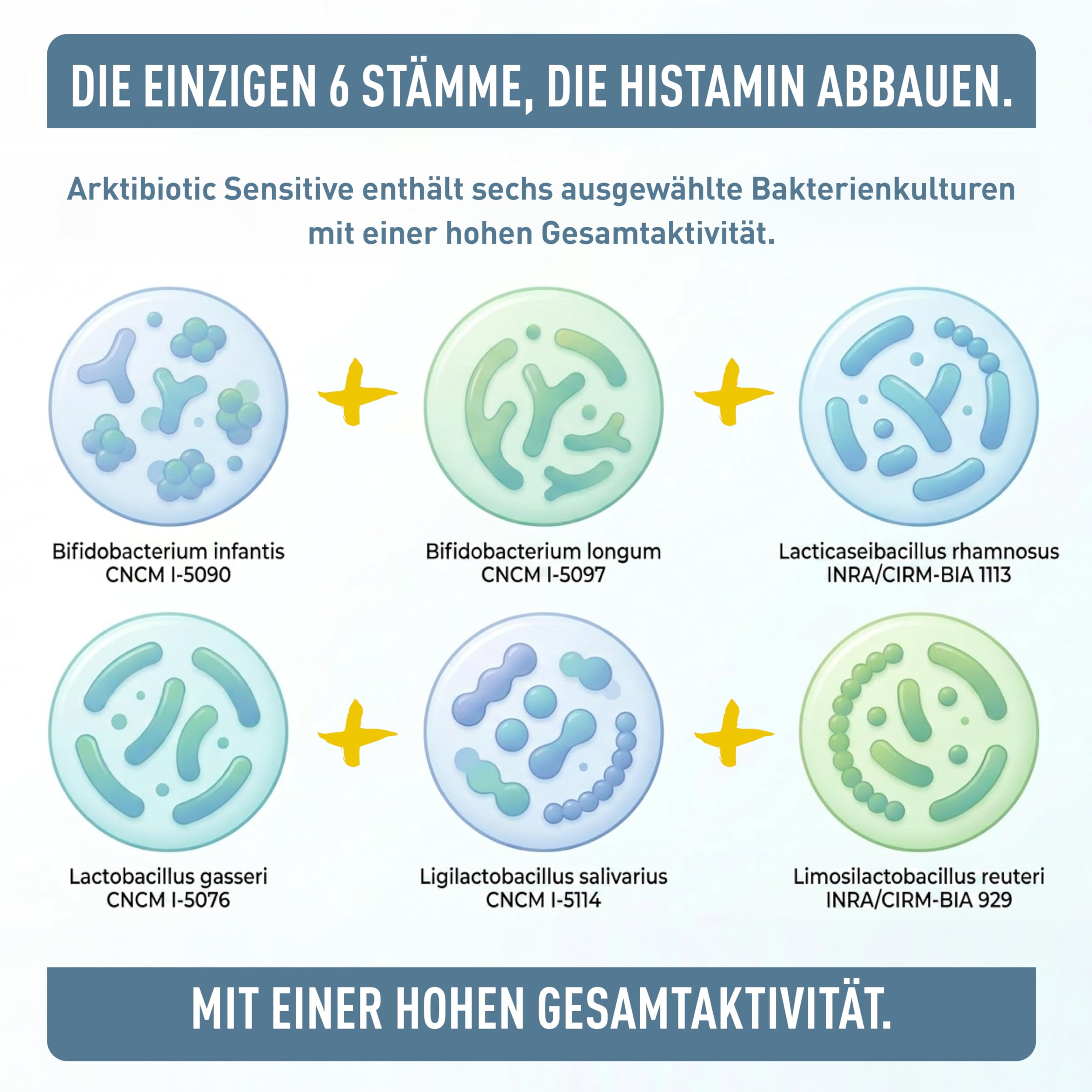 Arktibiotic Sensitive Probiotika bei Histaminintoleranz 90g