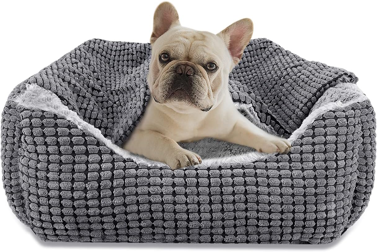 Letto Per Cane Lionto 4 In 1 - Reversibile, Con Cuscini, Taglia S (65x50 Cm), Nero/Grigio