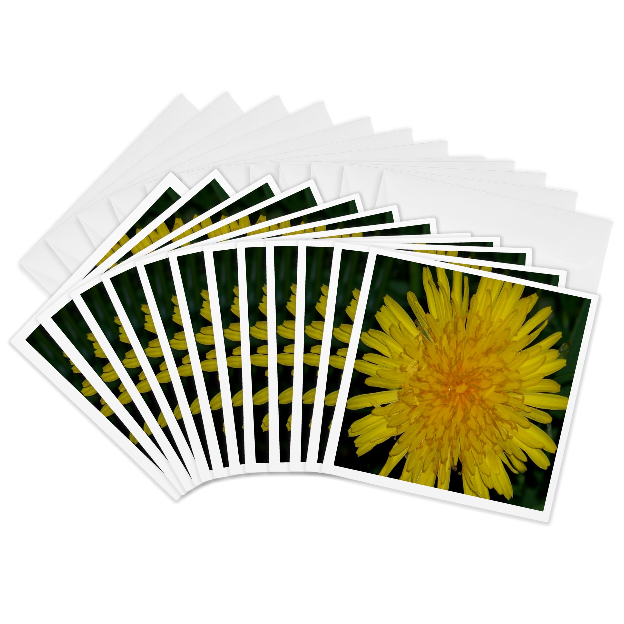 3Drose Dandelion Flower - Greeting Cards, 6 by 6-inches, Set of 12 (gc_18414_2)