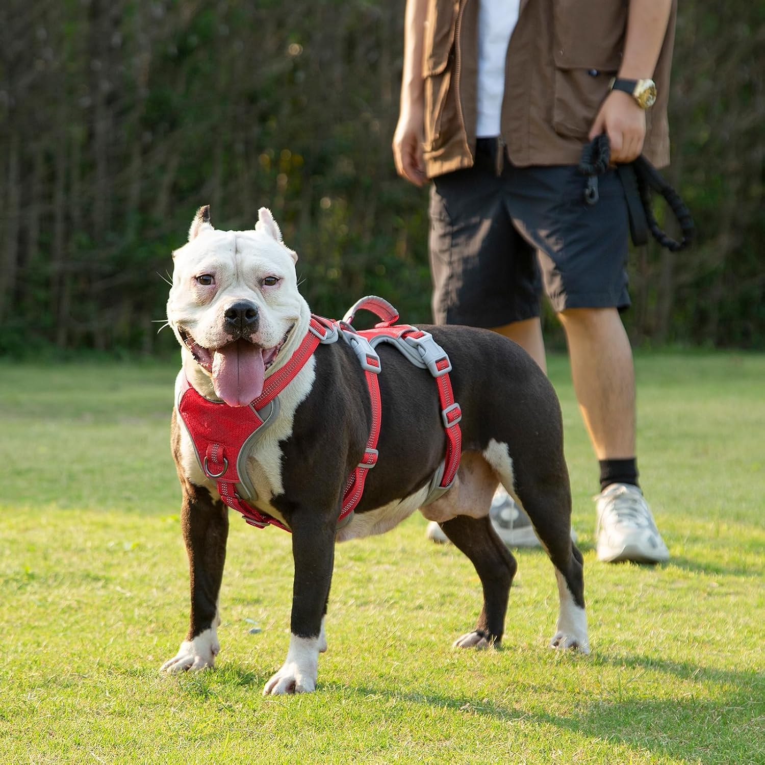 Huntboo Harnais Anti-évasion pour Chien, Harnais d'artiste d'évasion,Respirant, Durable, Gilet réglable pour Chiens de Taille Moyenne, Marche, entraînement et équipement de Course (Rouge, S)