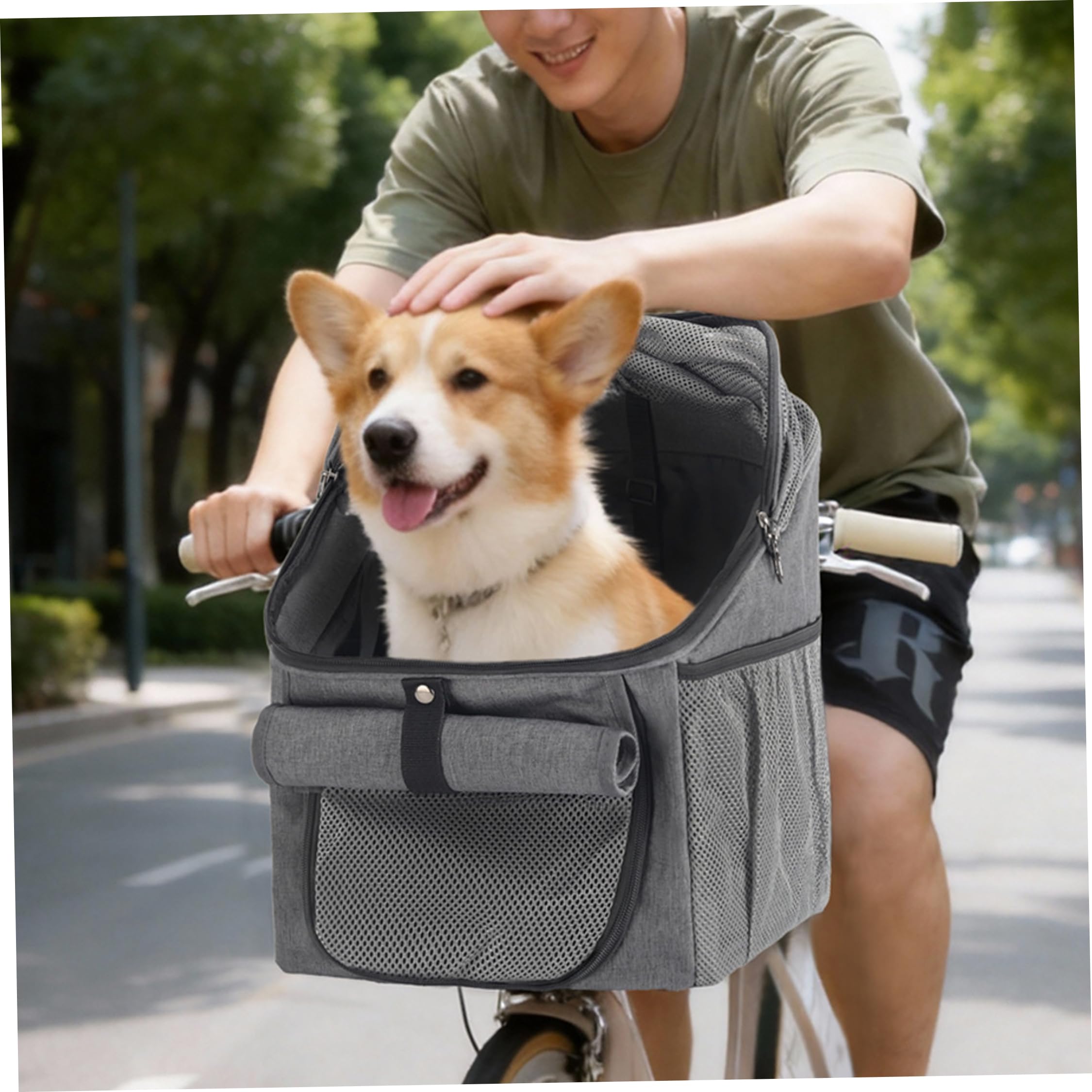 Panier de vélo pour Chien, Panier de vélo pour Animaux Compagnie avec Boucle à dégagement Rapide, Porte-Chat Multifonctionnel pour Sac à Dos, Sac Main et lit Repos intérieur, Gris, Chien