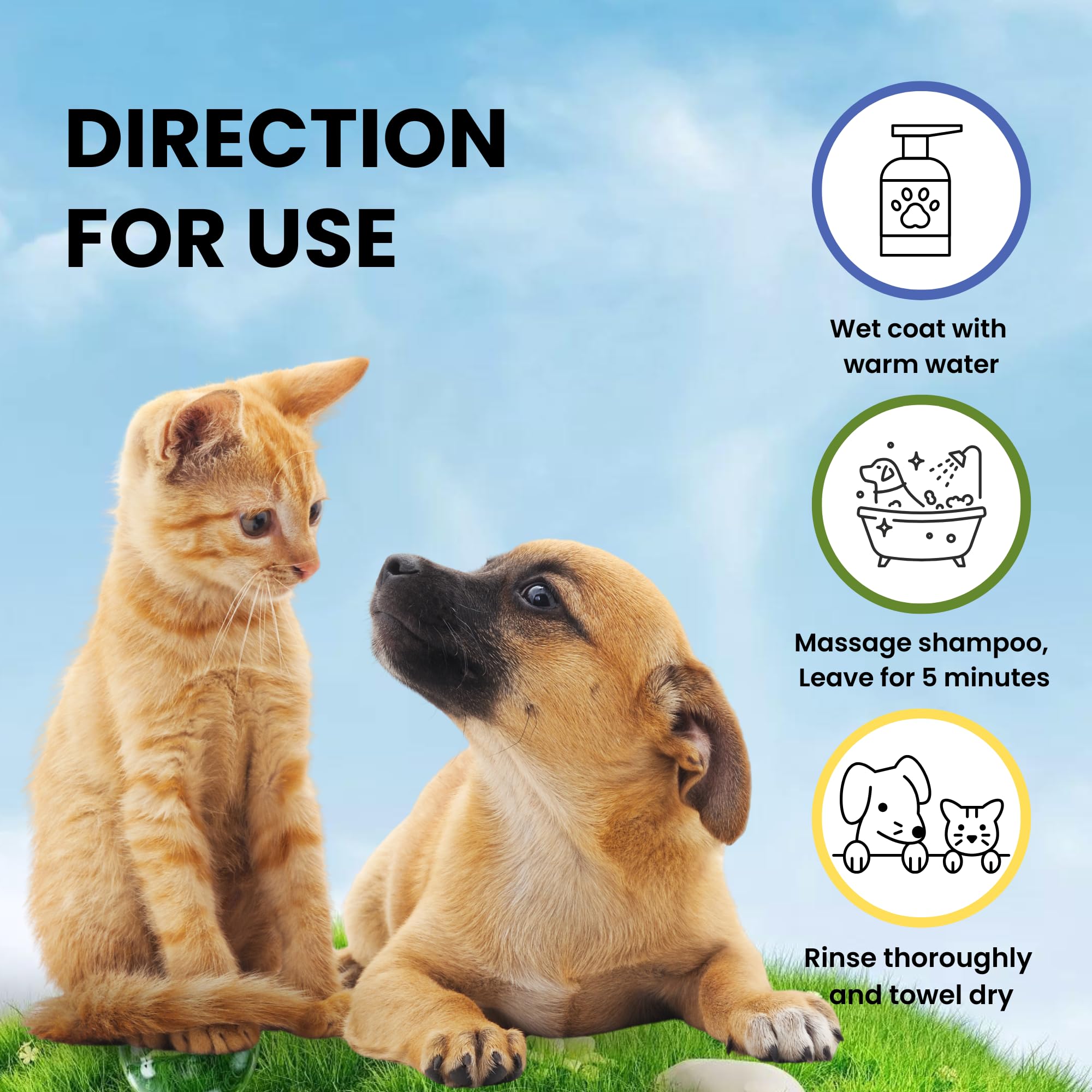 HEAD TO PAW Tick and Flea Shampoo | Repels Ticks & Fleas Shampoo for All Breeds 300ml | Medicated Pet Shampoo Enriched Rosemary, Peppermint & Thyme Extract | Ph Balanced, Moisturising, Prevents Fleas 3