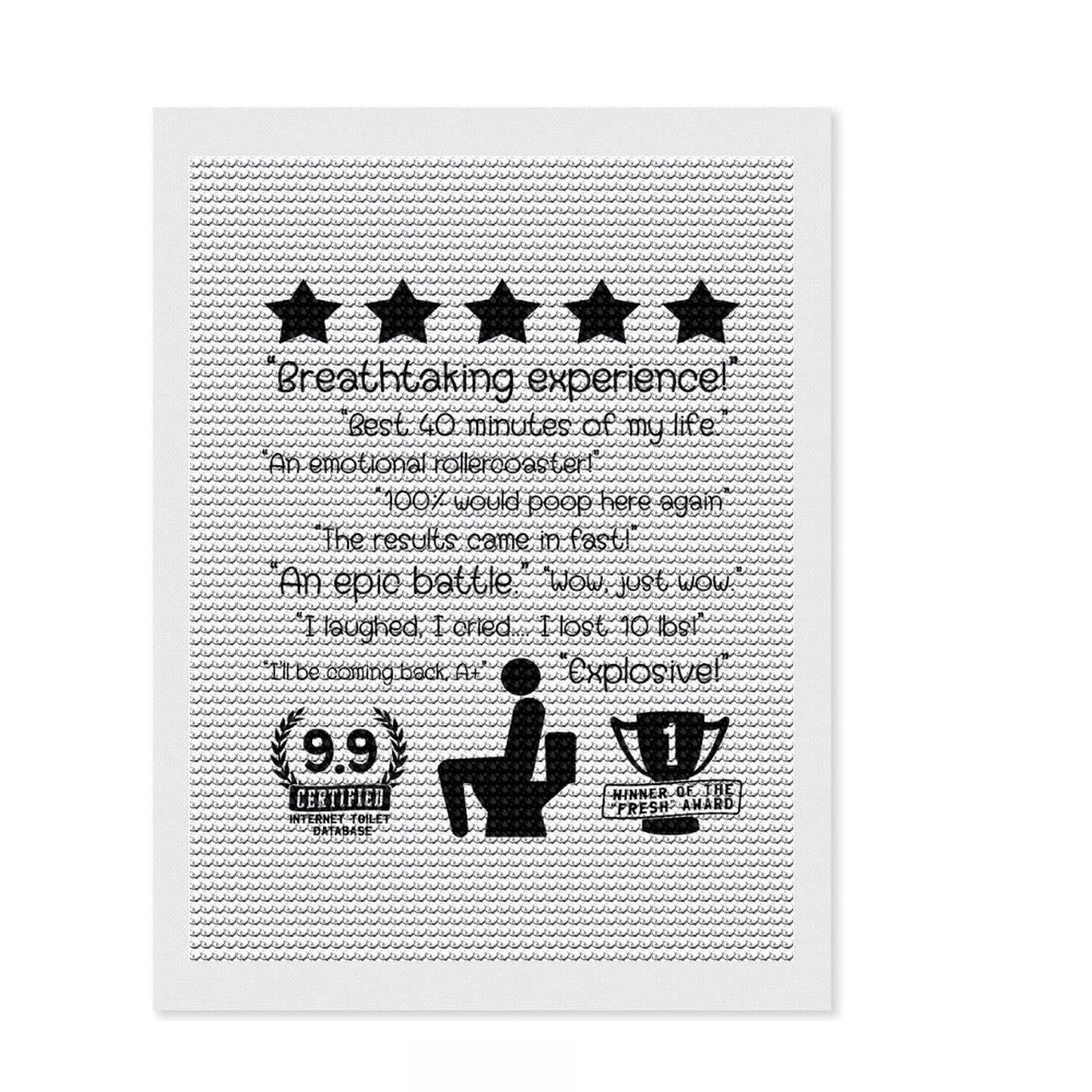 Junmoney Toilet Humor Review Diamond Painting Set 12"x16", Neat Printed Canvas, Fun Craft Experience, Boho Decor, Christmas Gift, Printed Canvas