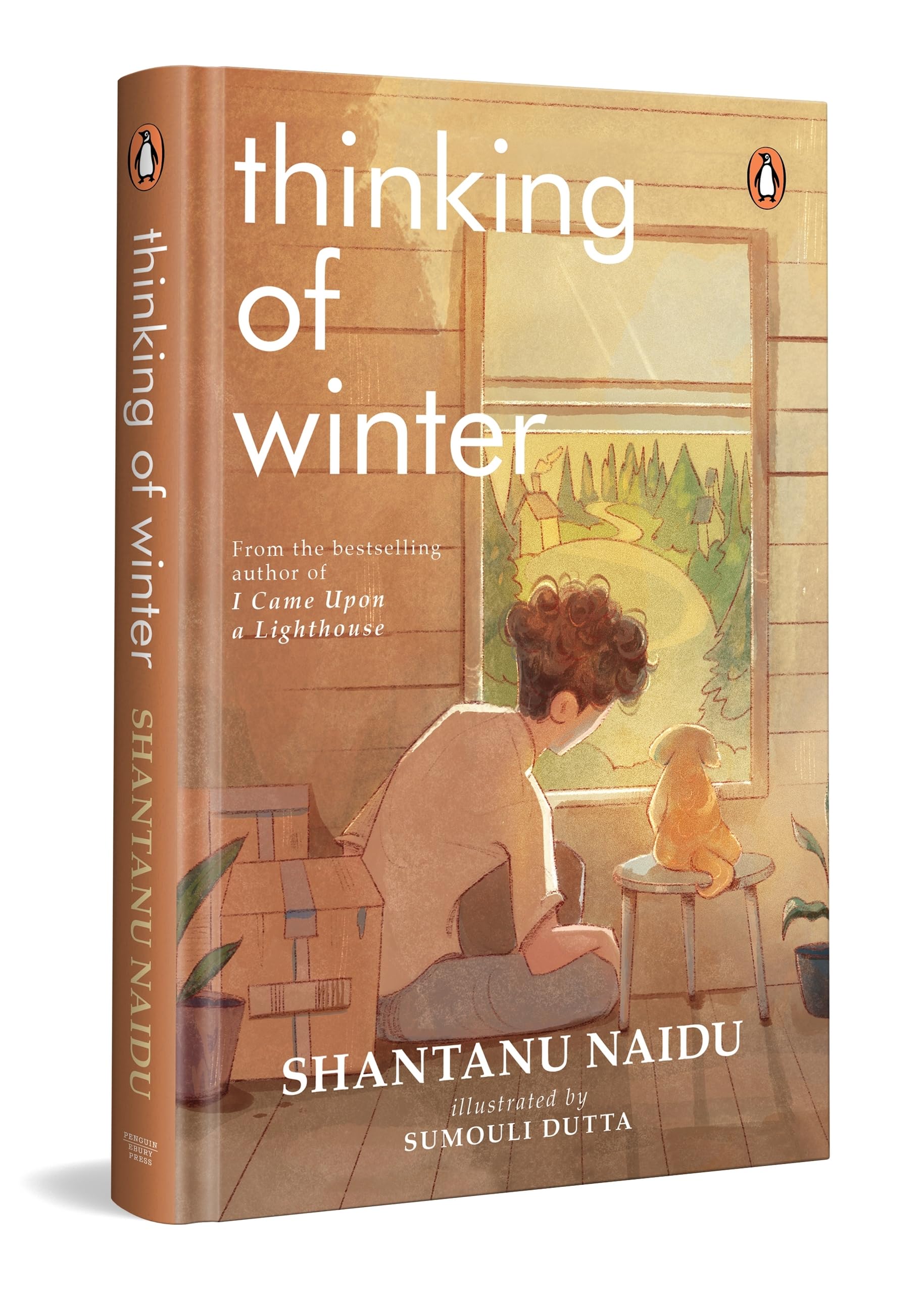 Thinking of Winter by Shantanu Naidu (Hardback Book)