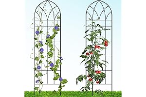 6 ft Trellis for Climbing Plants Outdoor - 2 Pack
