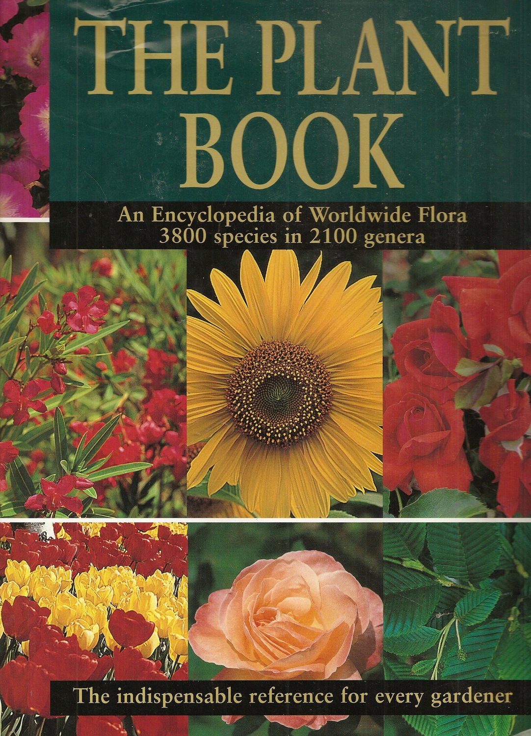 The Plant Book: An Encyclopedia of Worldwide Flora 3800 Species in 2100 Genera