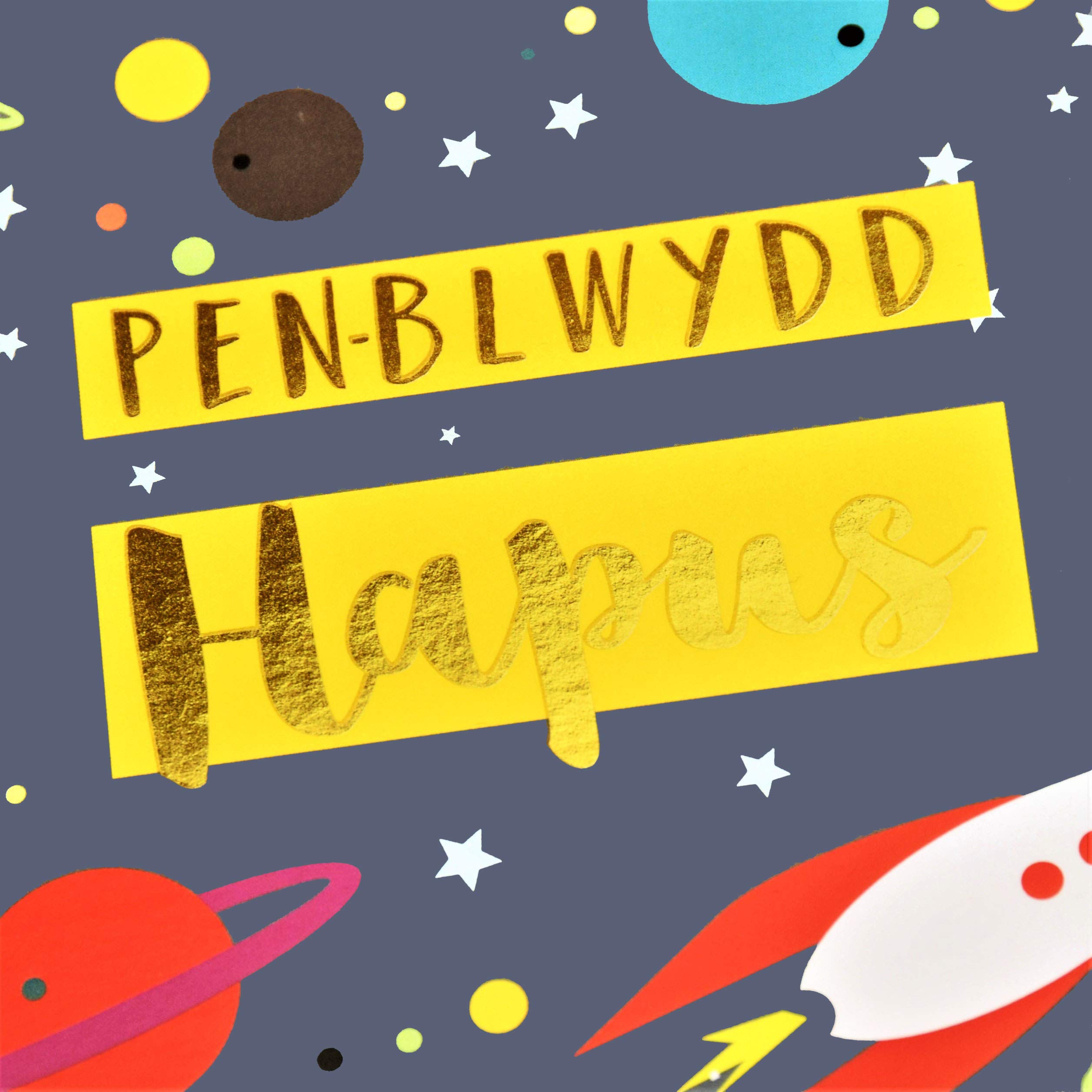 Welsh Birthday Card 'Penblwydd Hapus' - Draenog - View #7