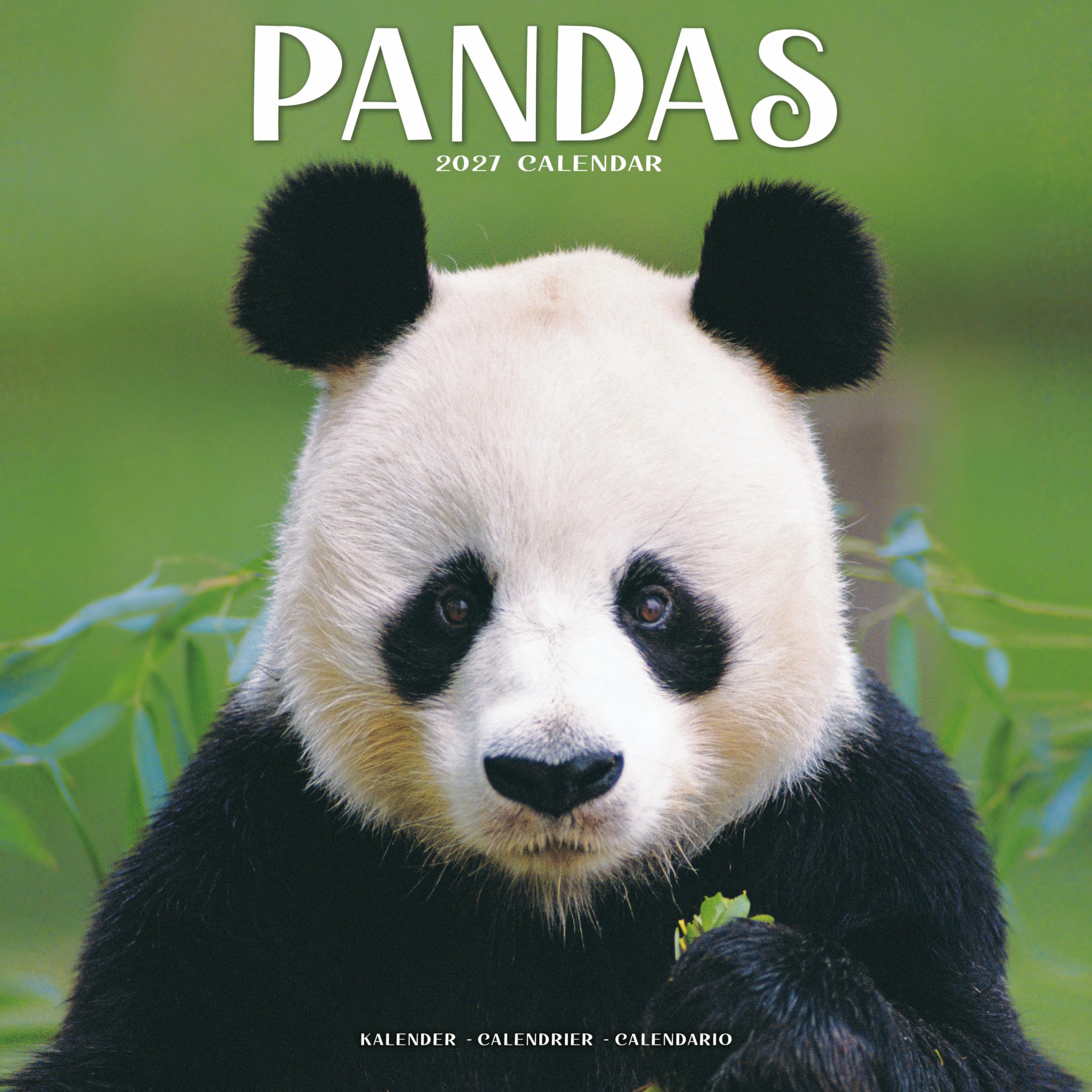 Pandas Calendar 2027